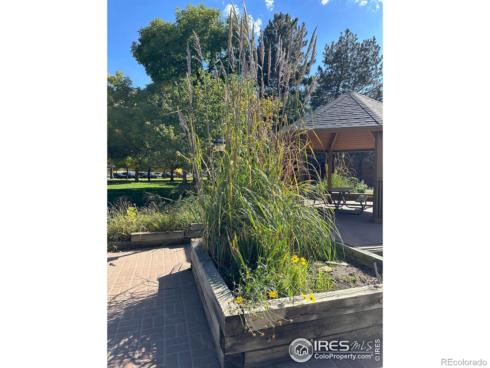 3000 Colorado Avenue Unit: 105