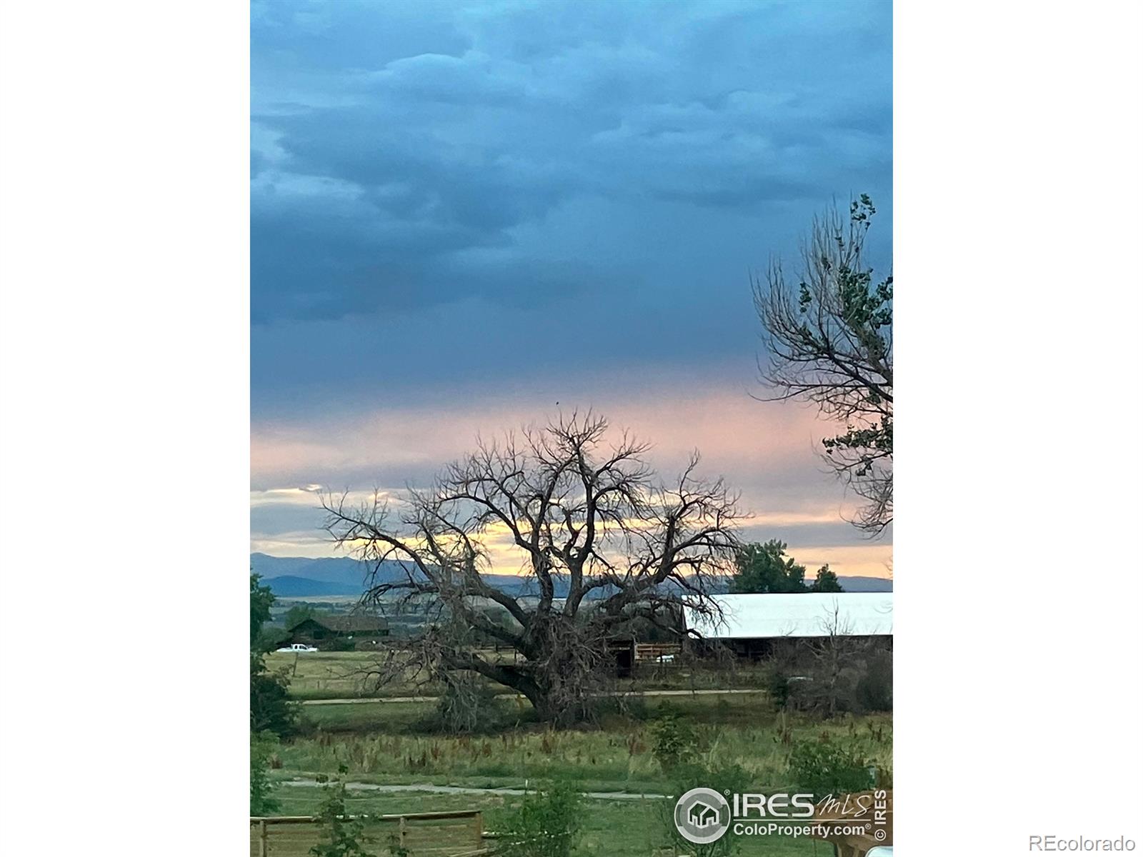 1436 Timber Trail
