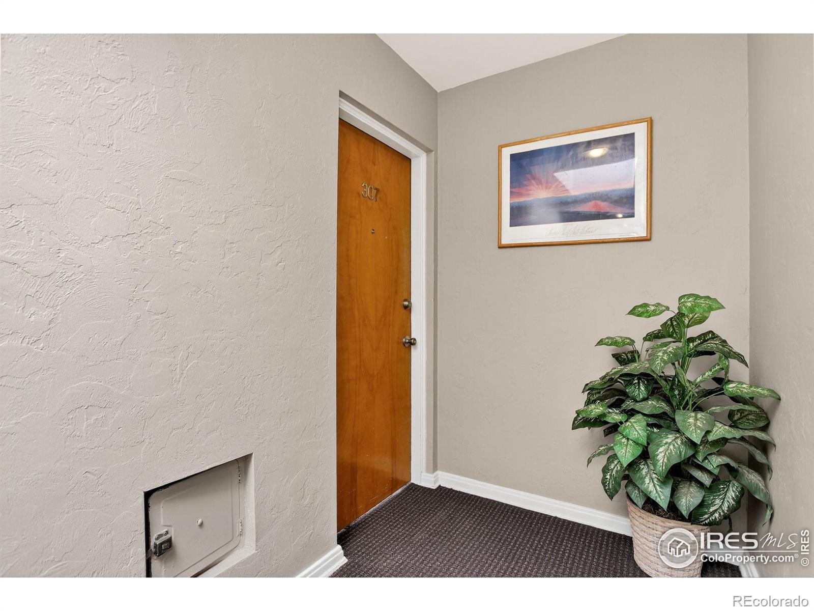 733 E 2nd Avenue Unit: 307