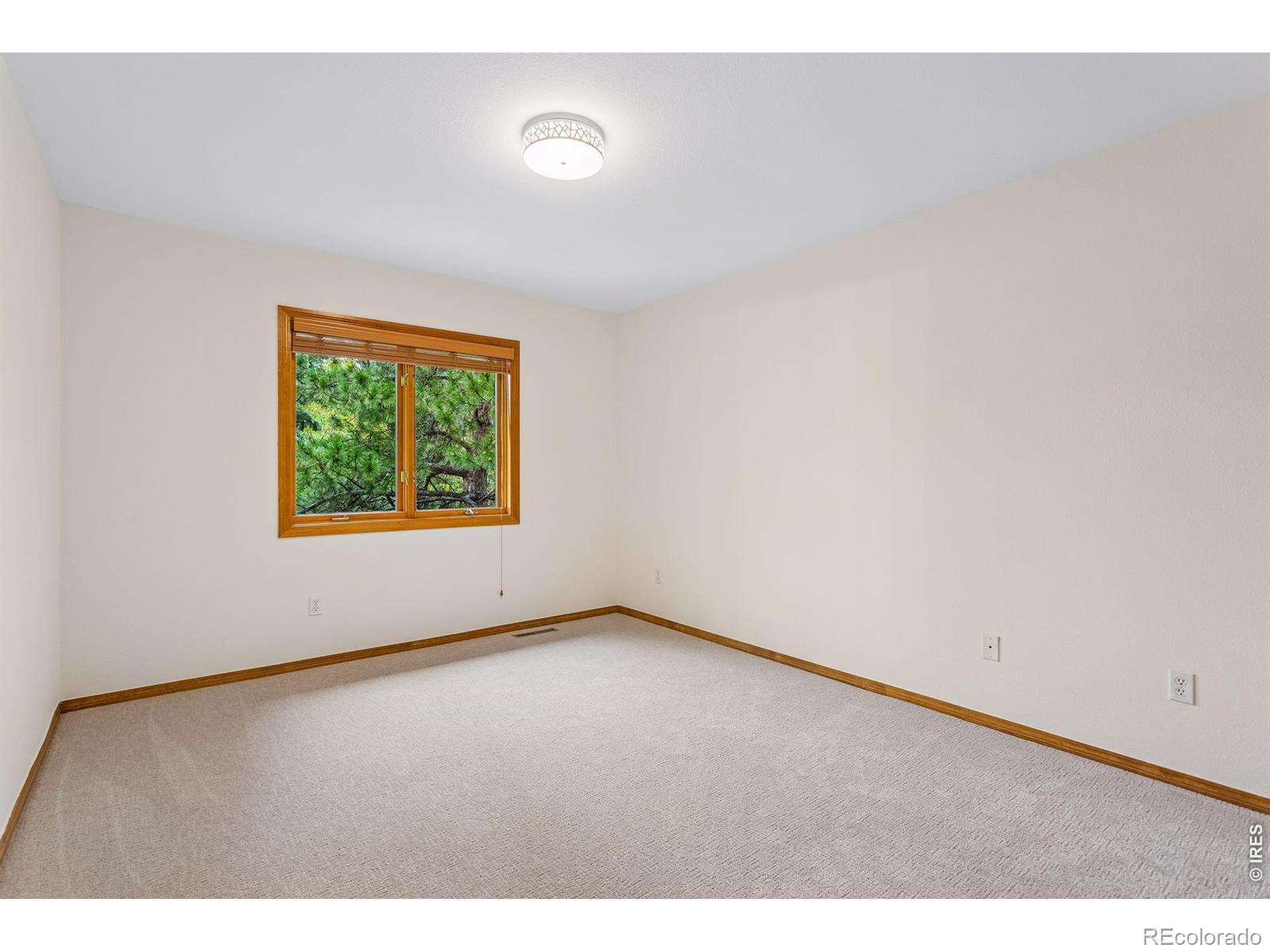 2233 Kincaid Place