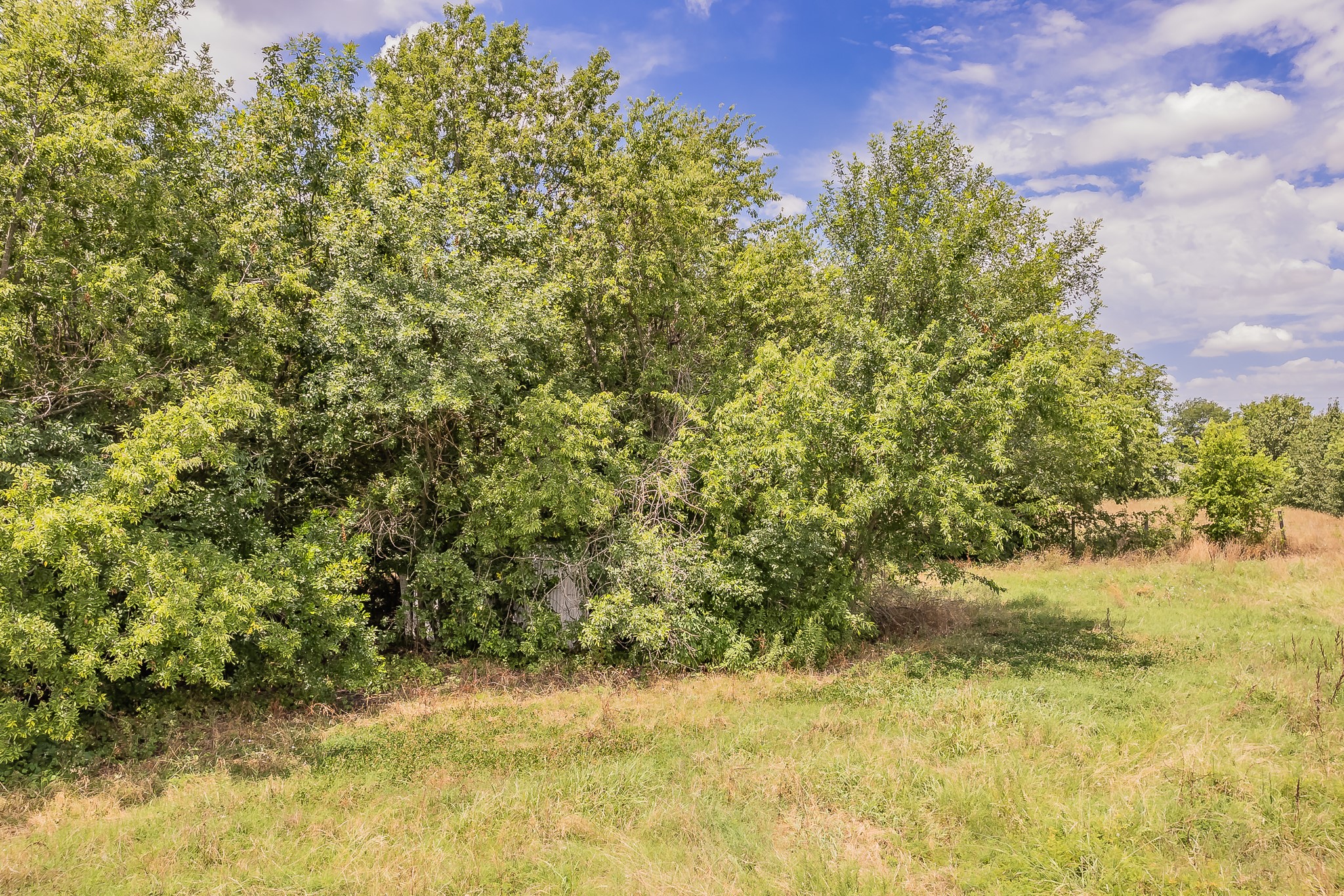 TBD Pecan Place Drive
