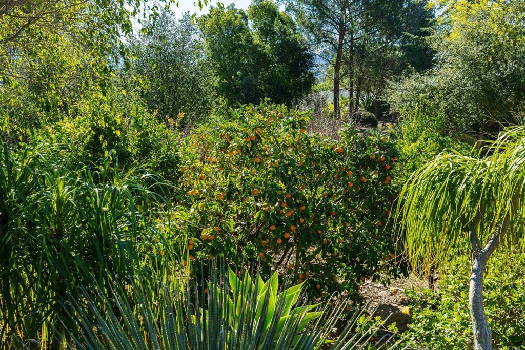 14790 Hidden Trail Way