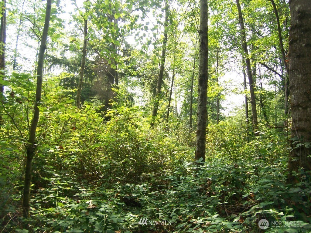 12008 Wagner Rd