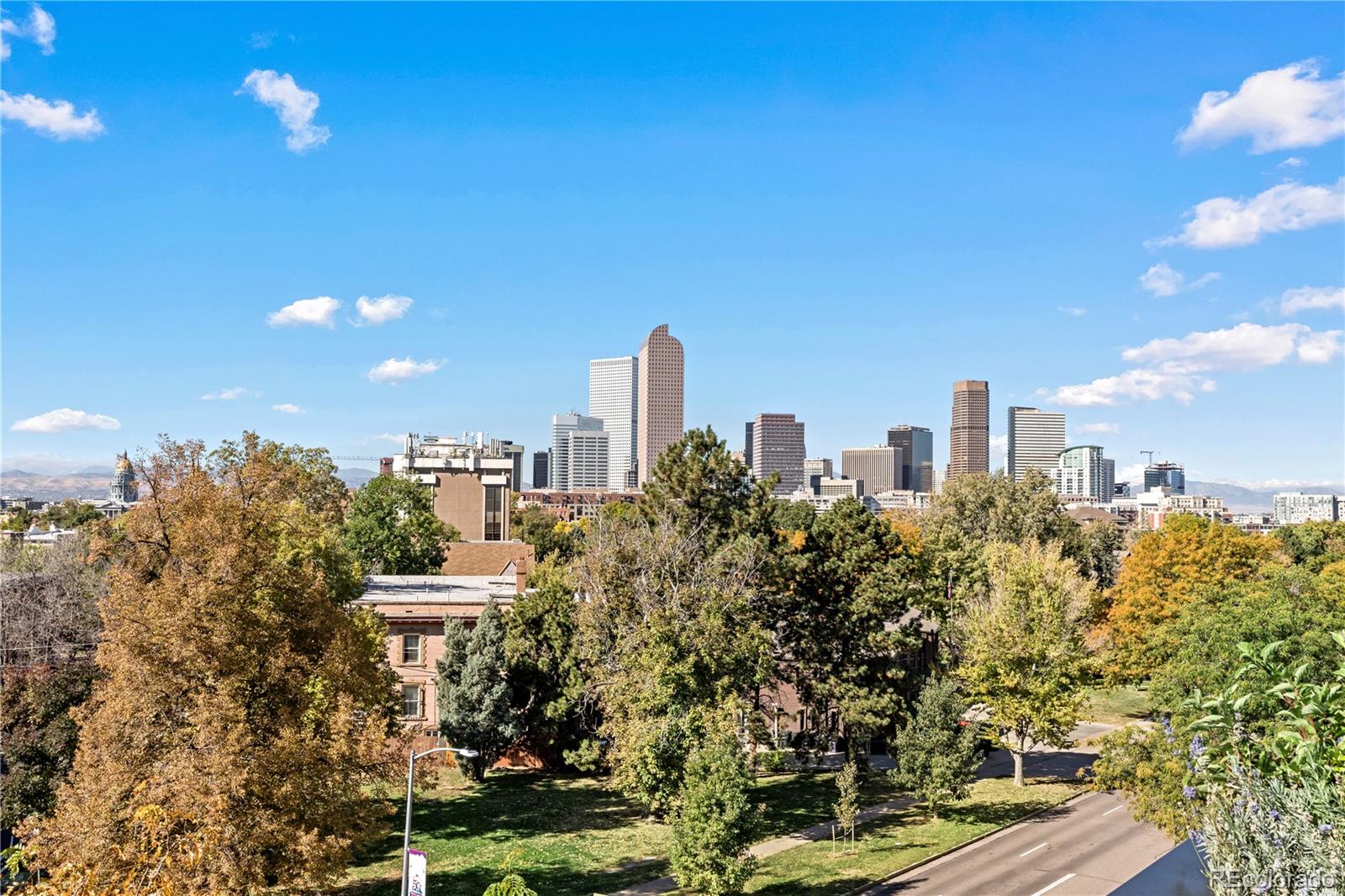 1601 Park Avenue Unit: 305