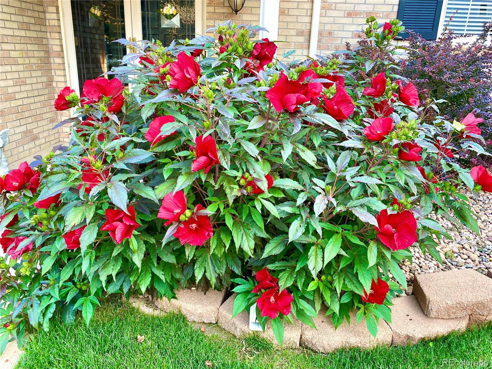 7035 S Magnolia Circle