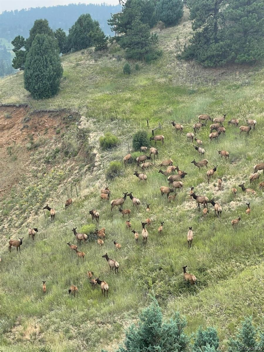 495 Mount Vernon Circle