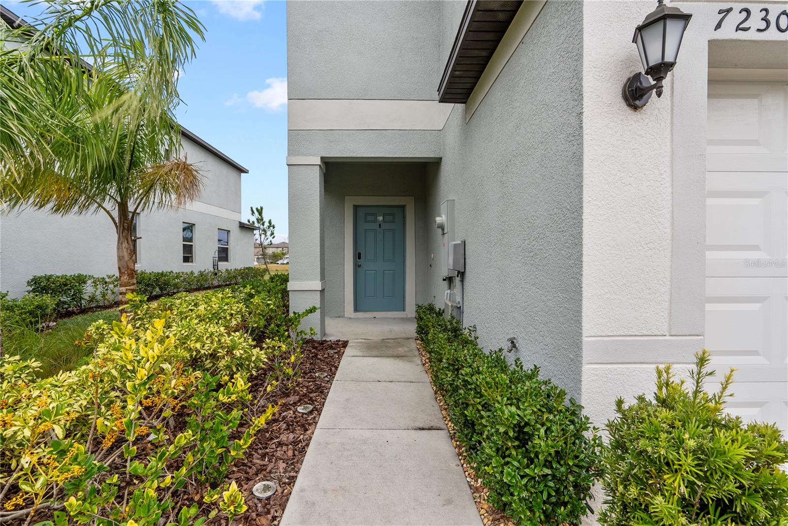 7230 SWEET ALYSSUM CT