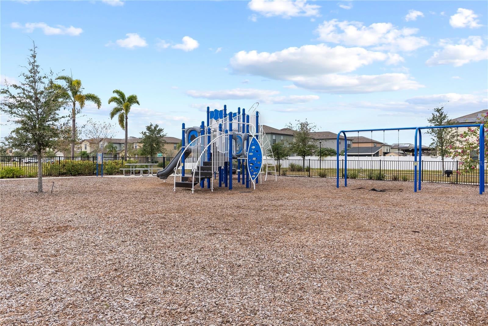 7230 SWEET ALYSSUM CT