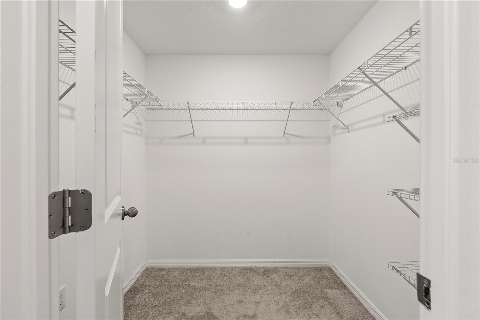 7230 SWEET ALYSSUM CT