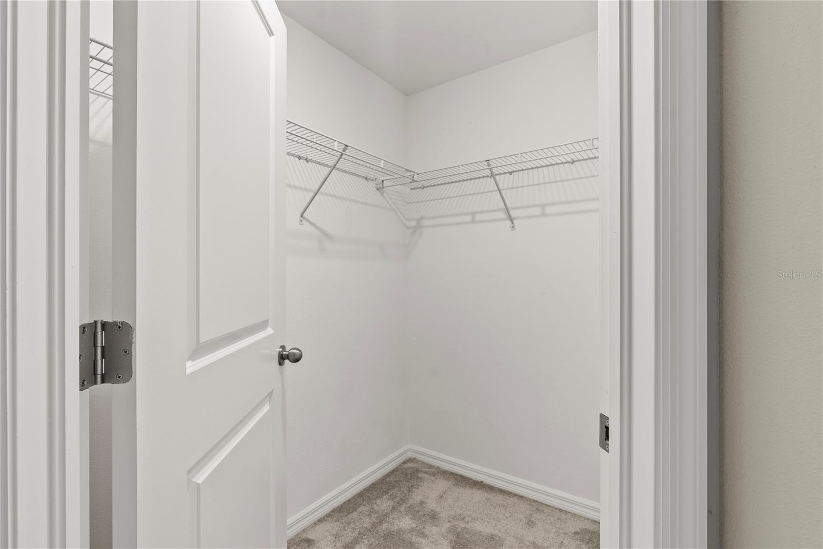 7230 SWEET ALYSSUM CT