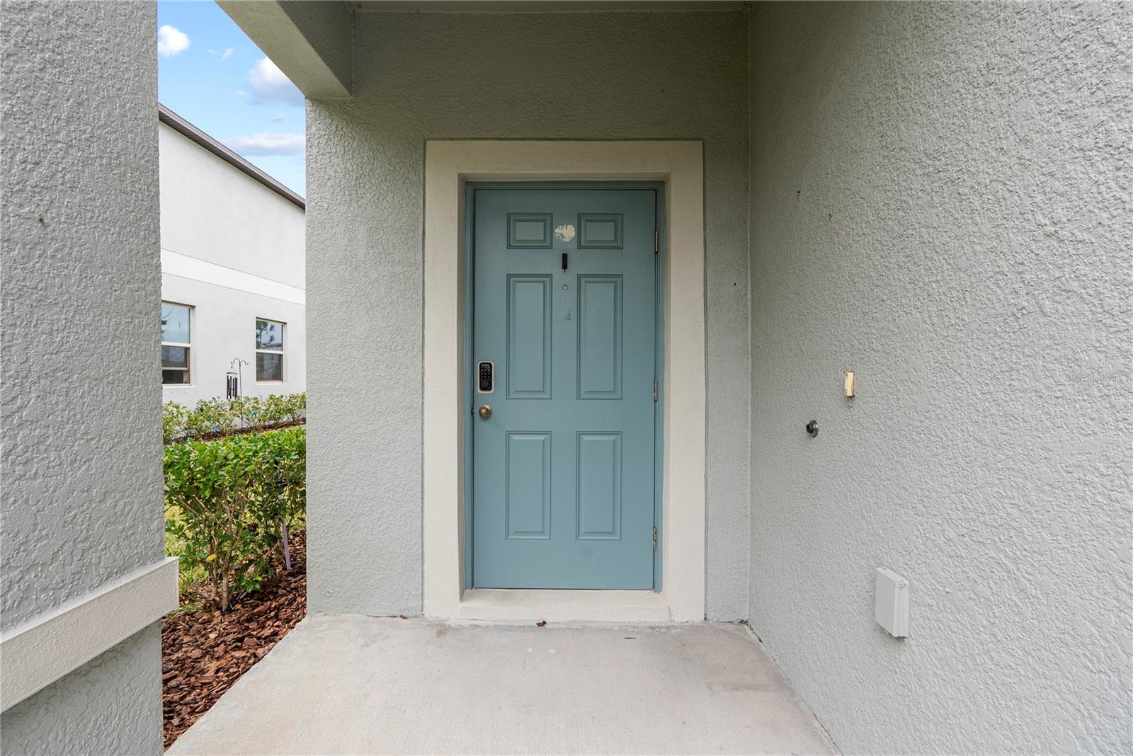 7230 SWEET ALYSSUM CT