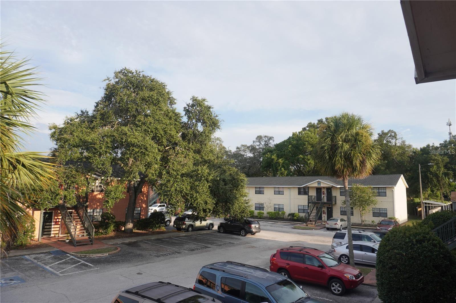 12404 ORANGE BLOSSOM OAK PL #202