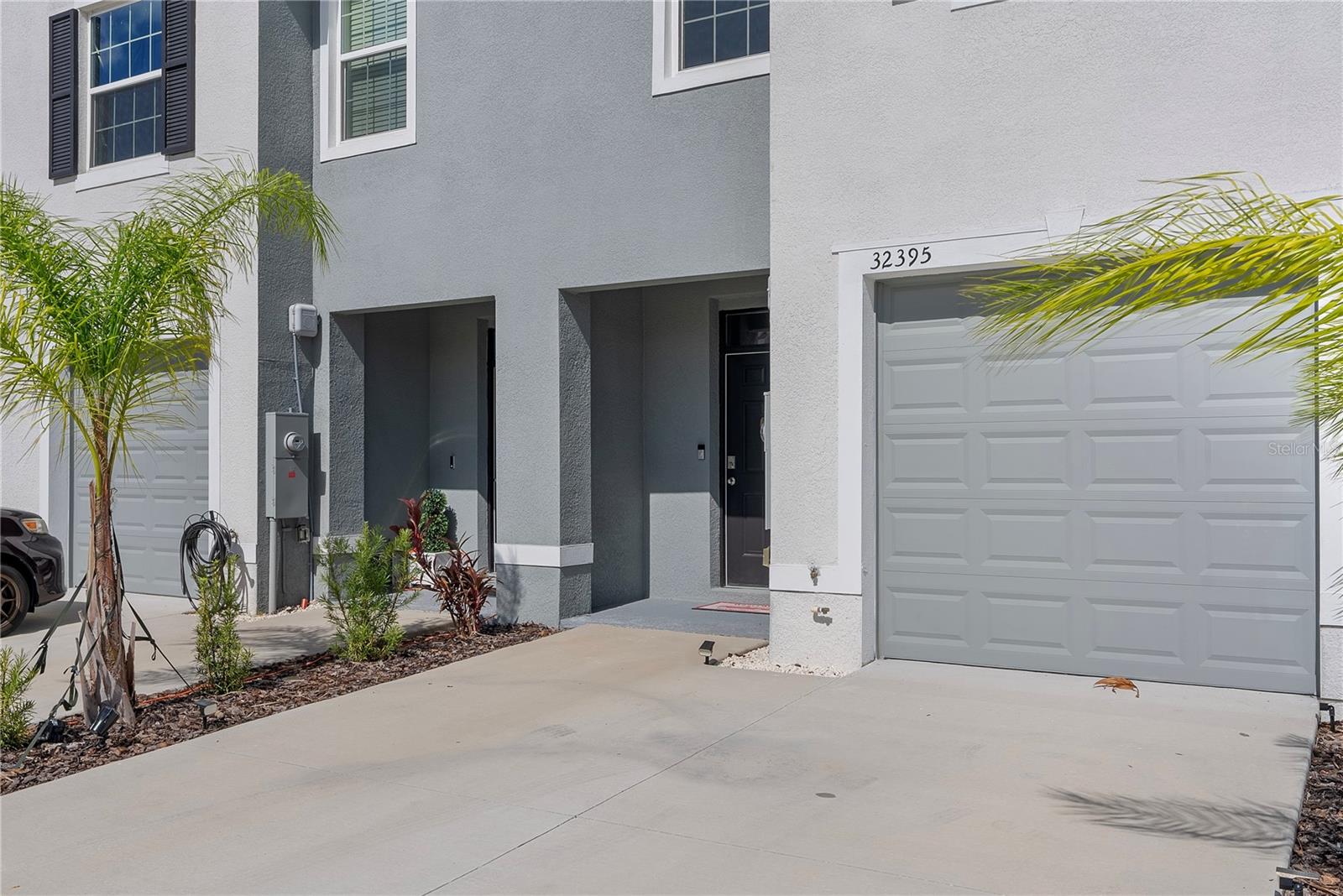 32395 TURTLE GRACE LOOP