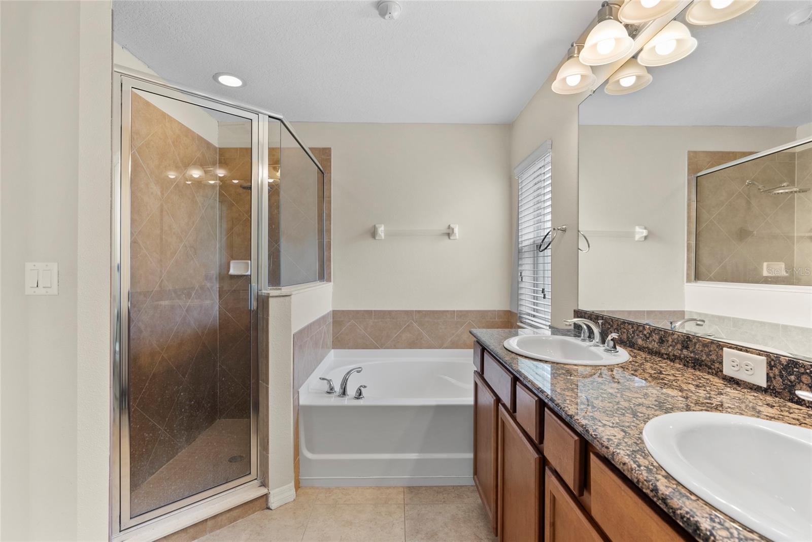 11129 ANCIENT FUTURES DR