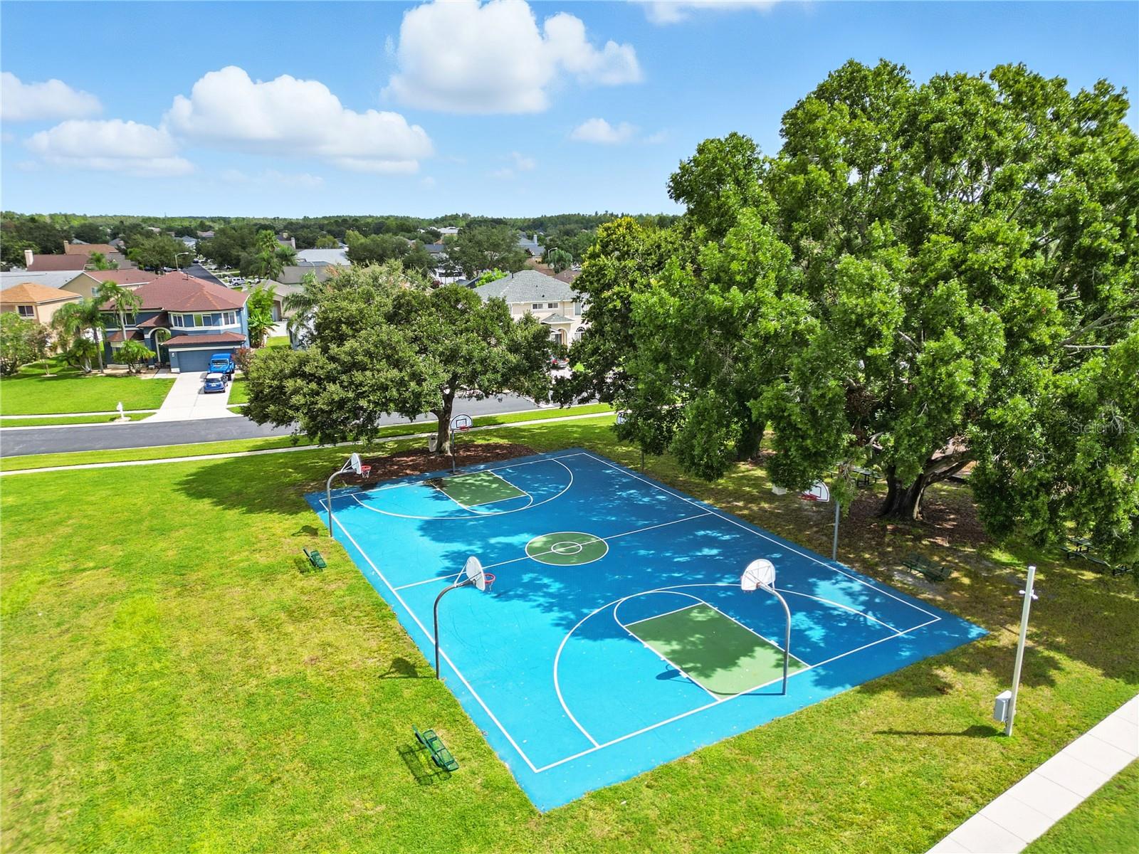 25906 TERRAWOOD LOOP