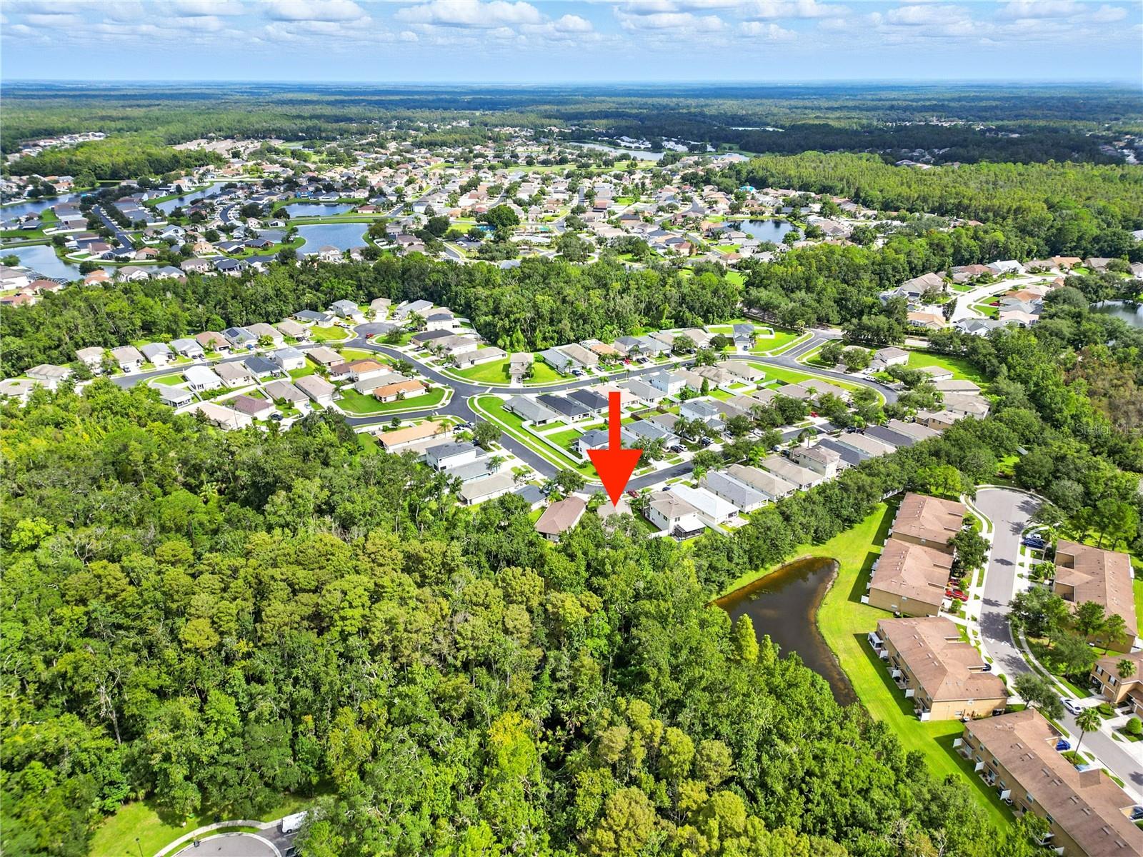 25906 TERRAWOOD LOOP