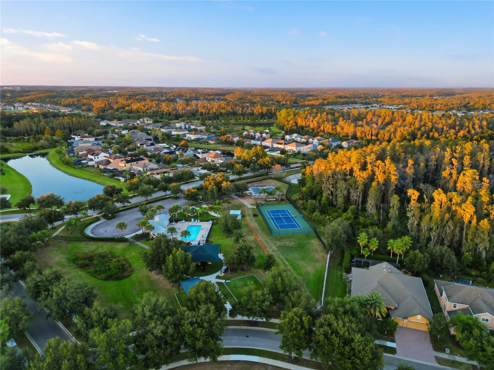 19238 CLIMBING ASTER DR