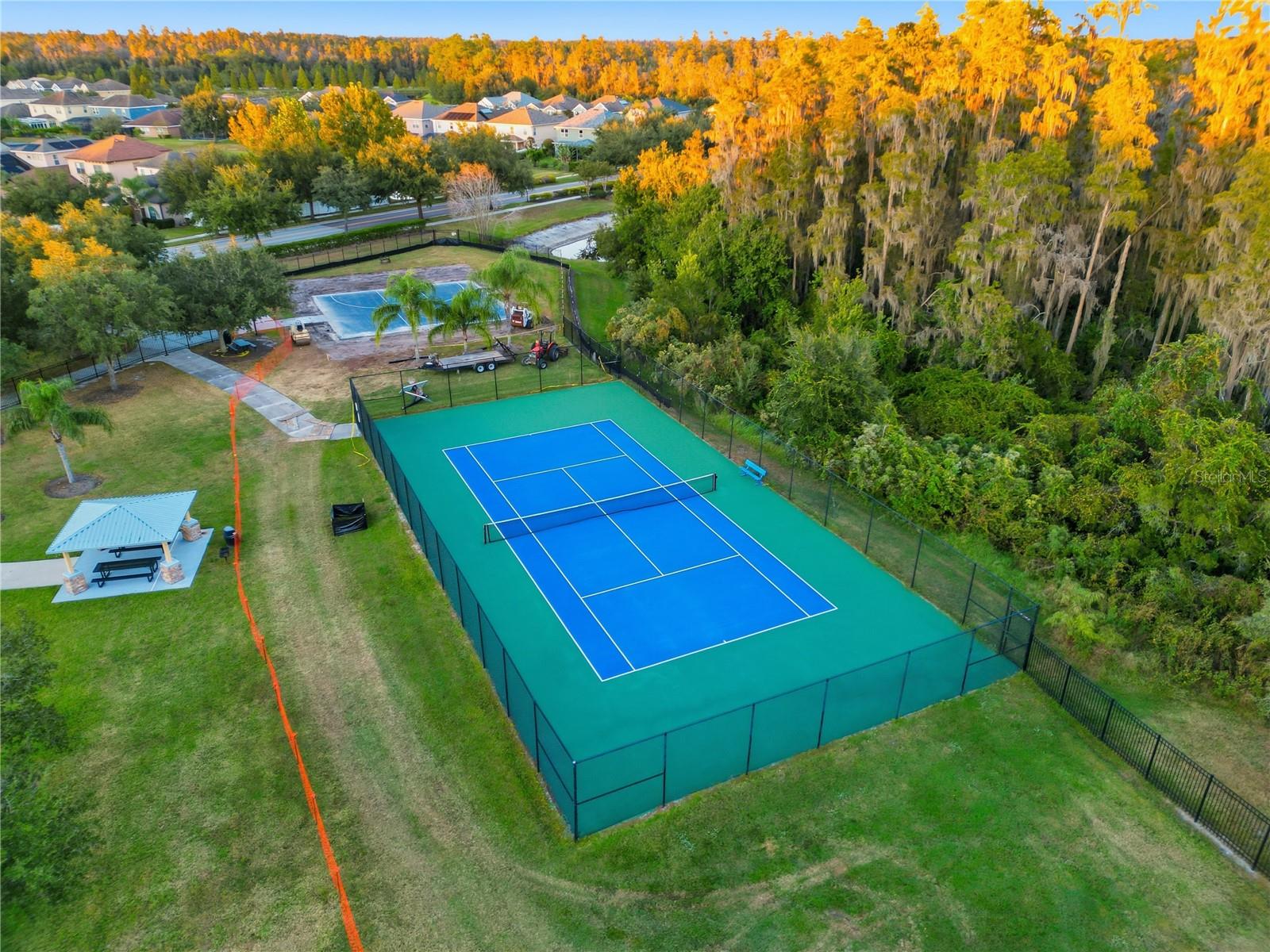 19238 CLIMBING ASTER DR