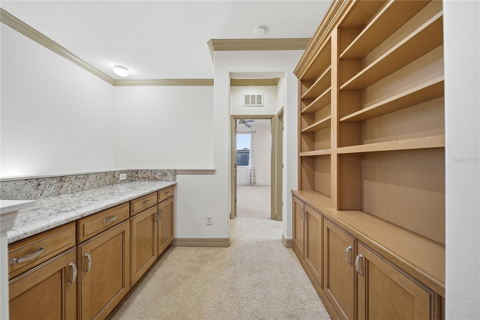 19238 CLIMBING ASTER DR