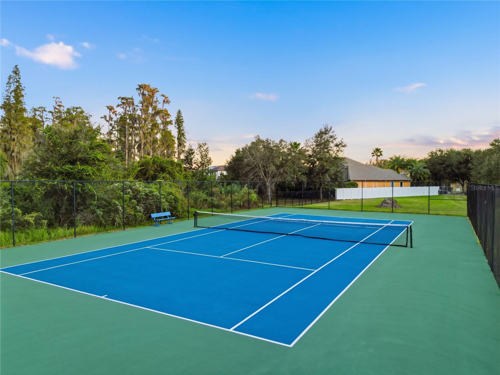 19238 CLIMBING ASTER DR