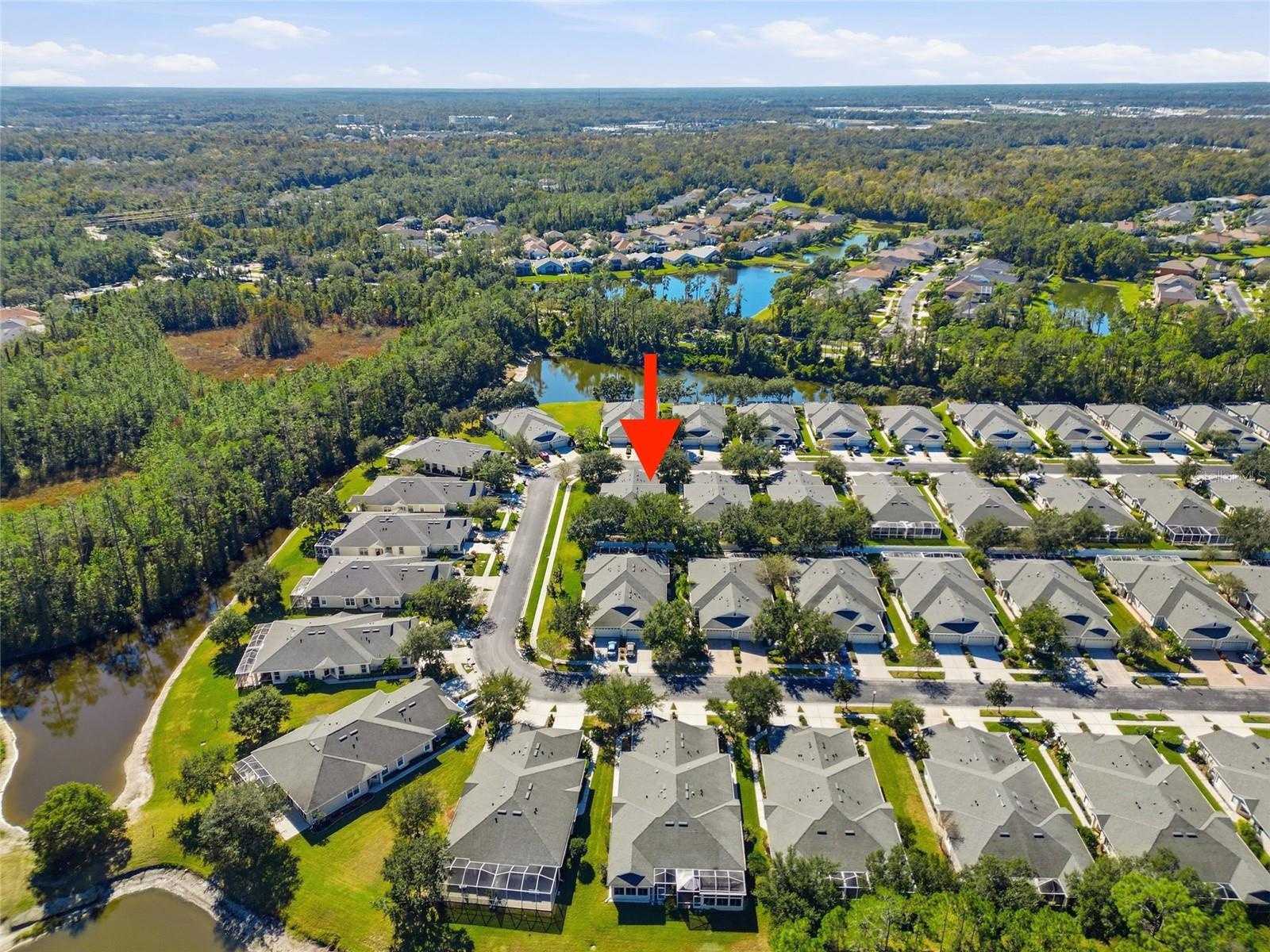 3343 CHAPEL CREEK CIR