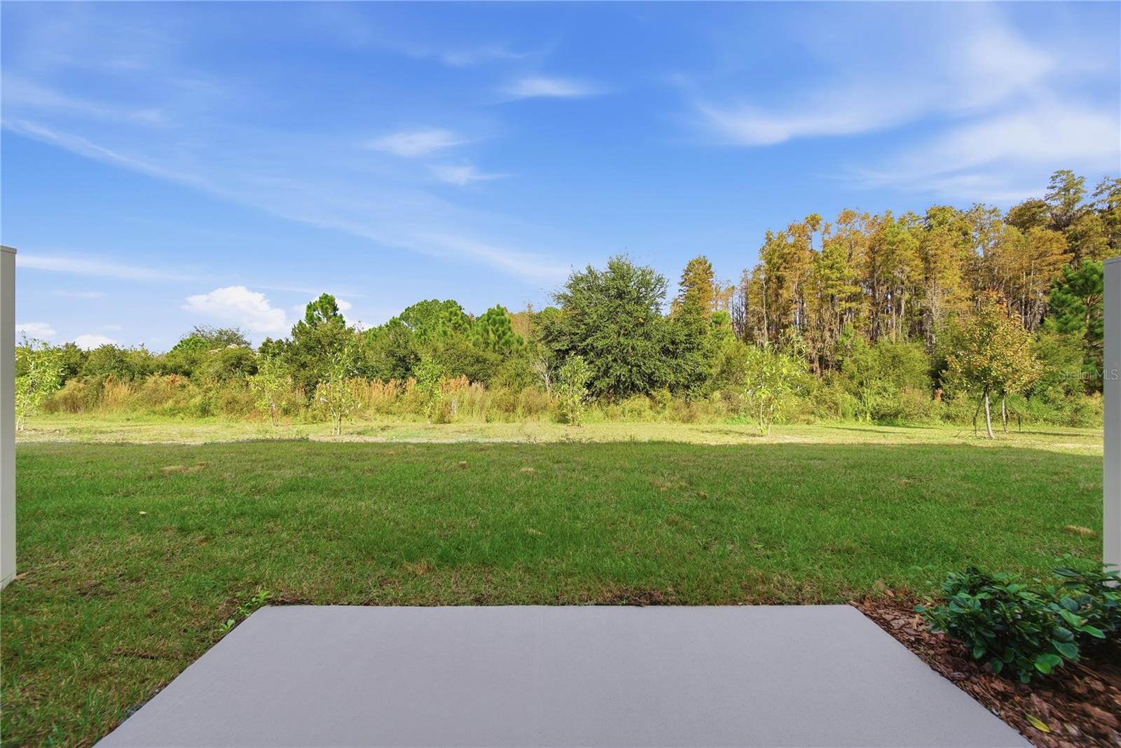 32497 MIDSUMMER NIGHT LN