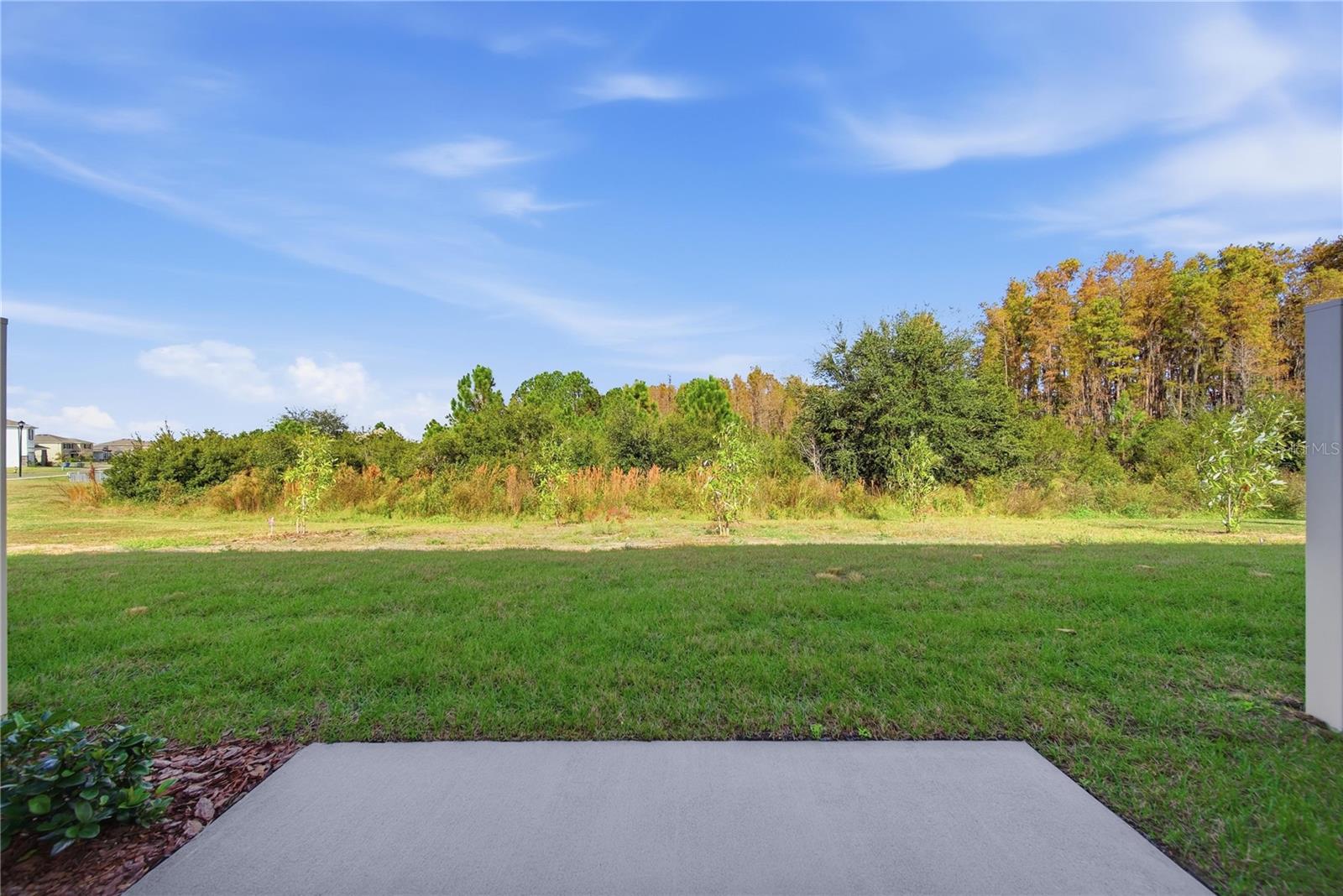 32495 MIDSUMMER NIGHT LN