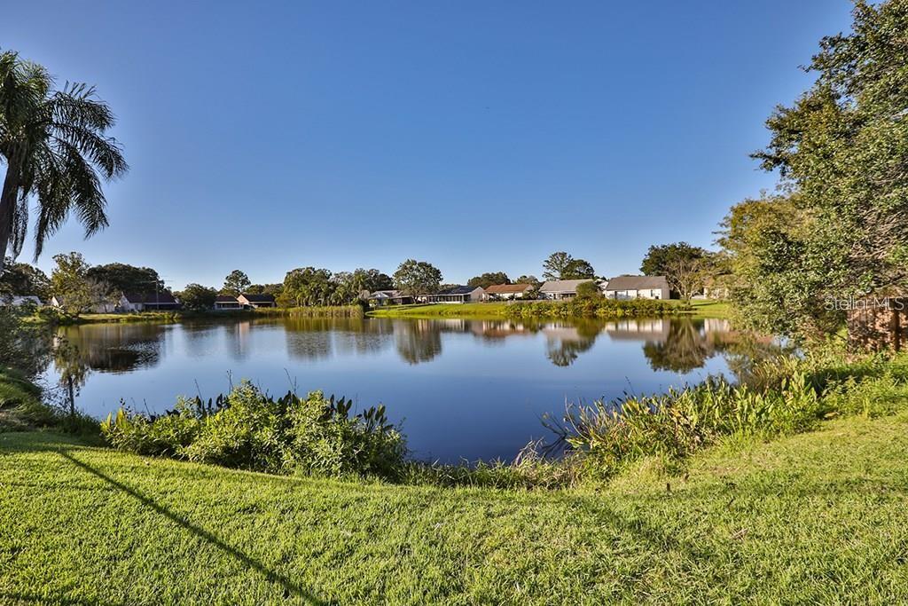 7920 GEORGE WASHINGTON LN