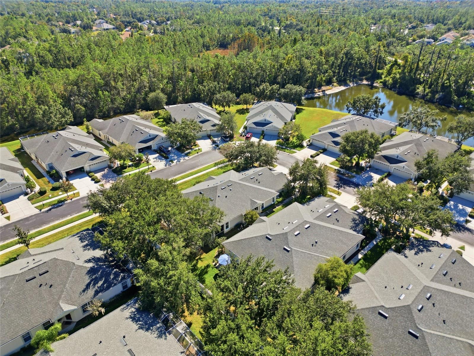 3343 CHAPEL CREEK CIR