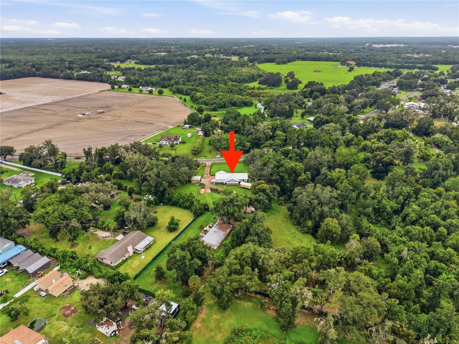3704 THONOTOSASSA RD