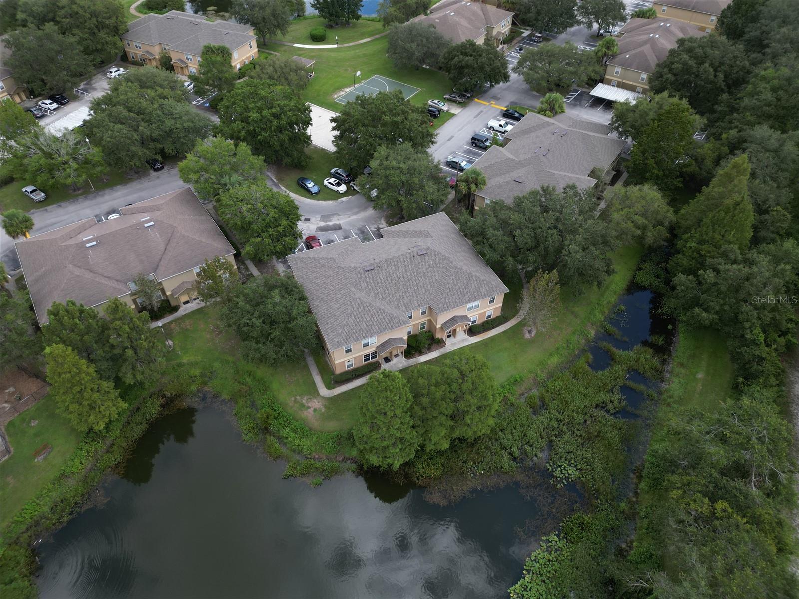 36100 LAKE CHASE BLVD #104