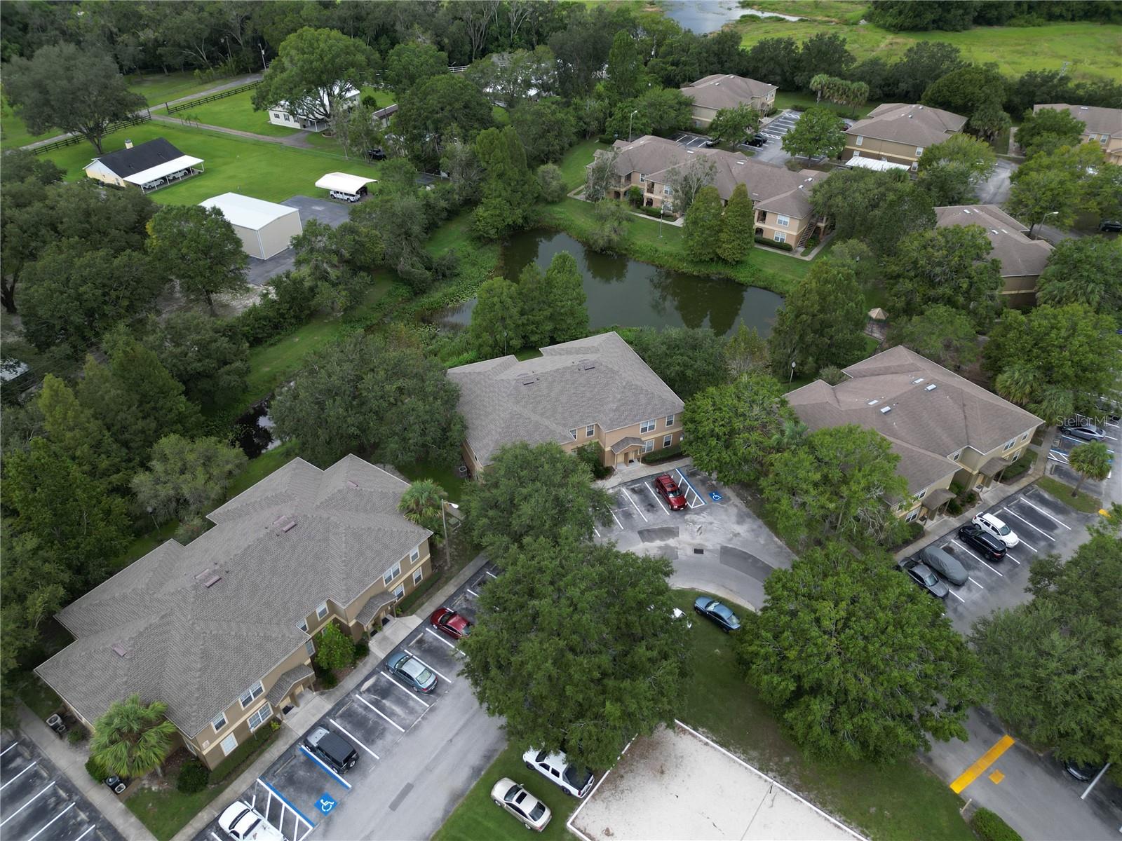 36100 LAKE CHASE BLVD #104
