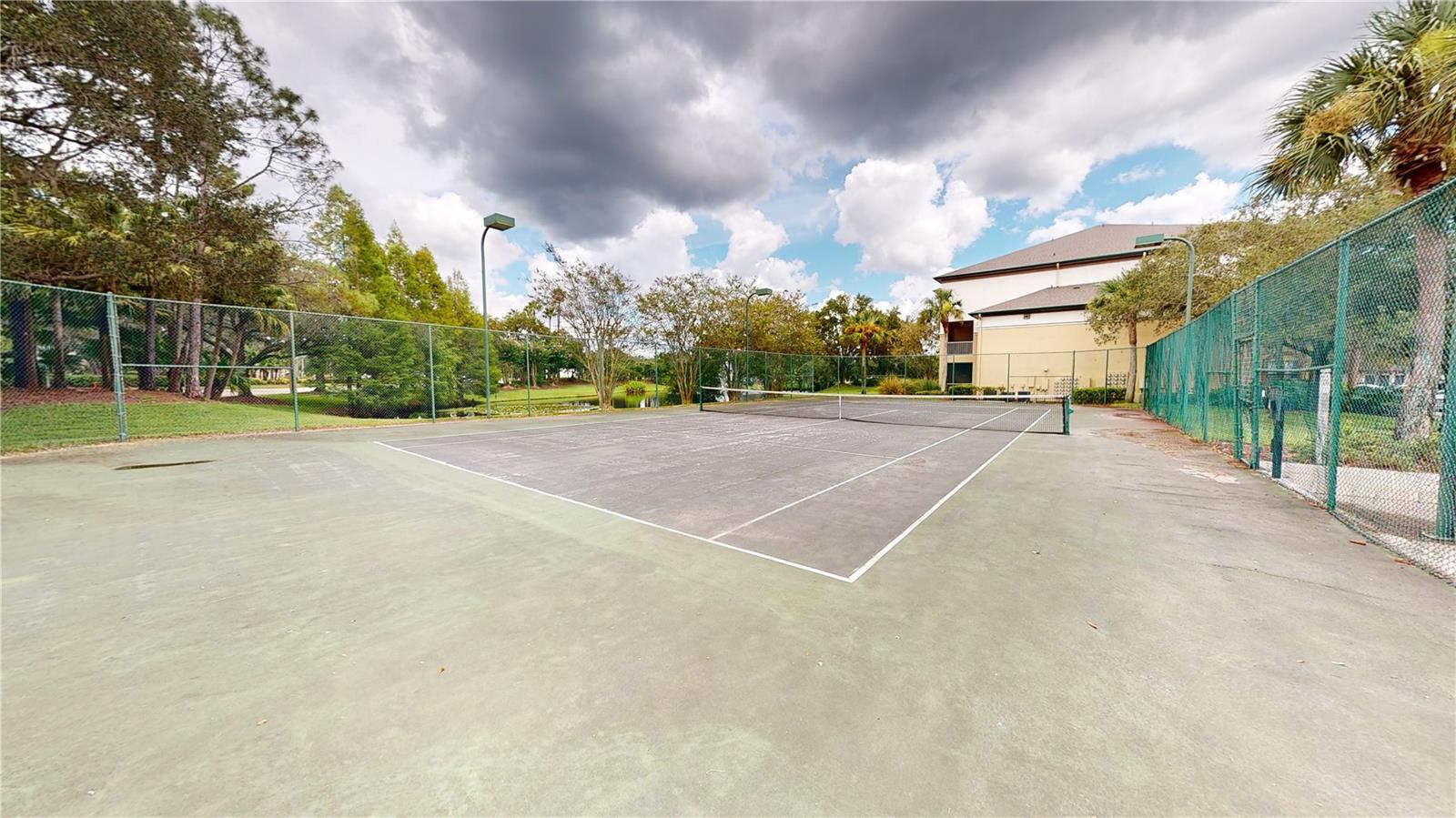 17110 CARRINGTON PARK DR #806