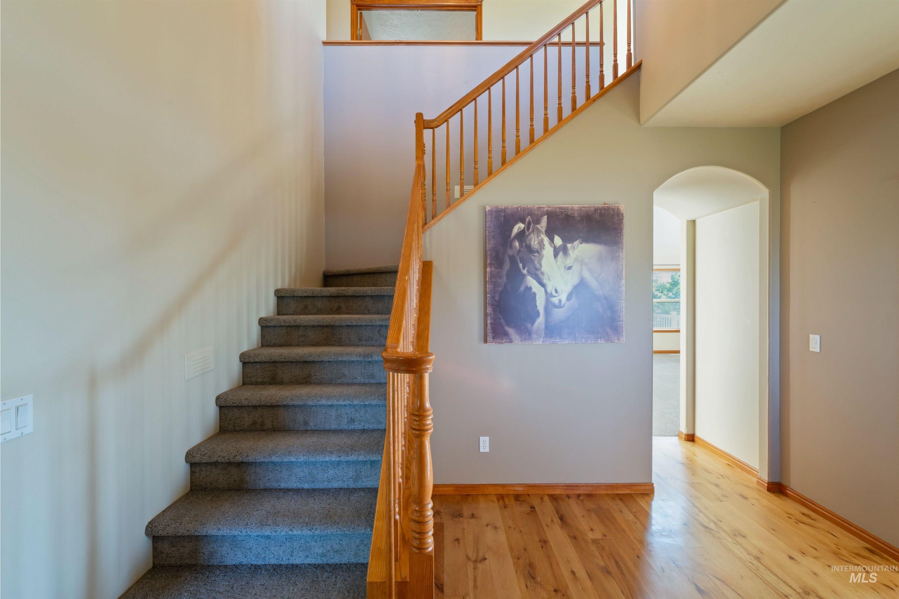 7055 Horse Haven Lane