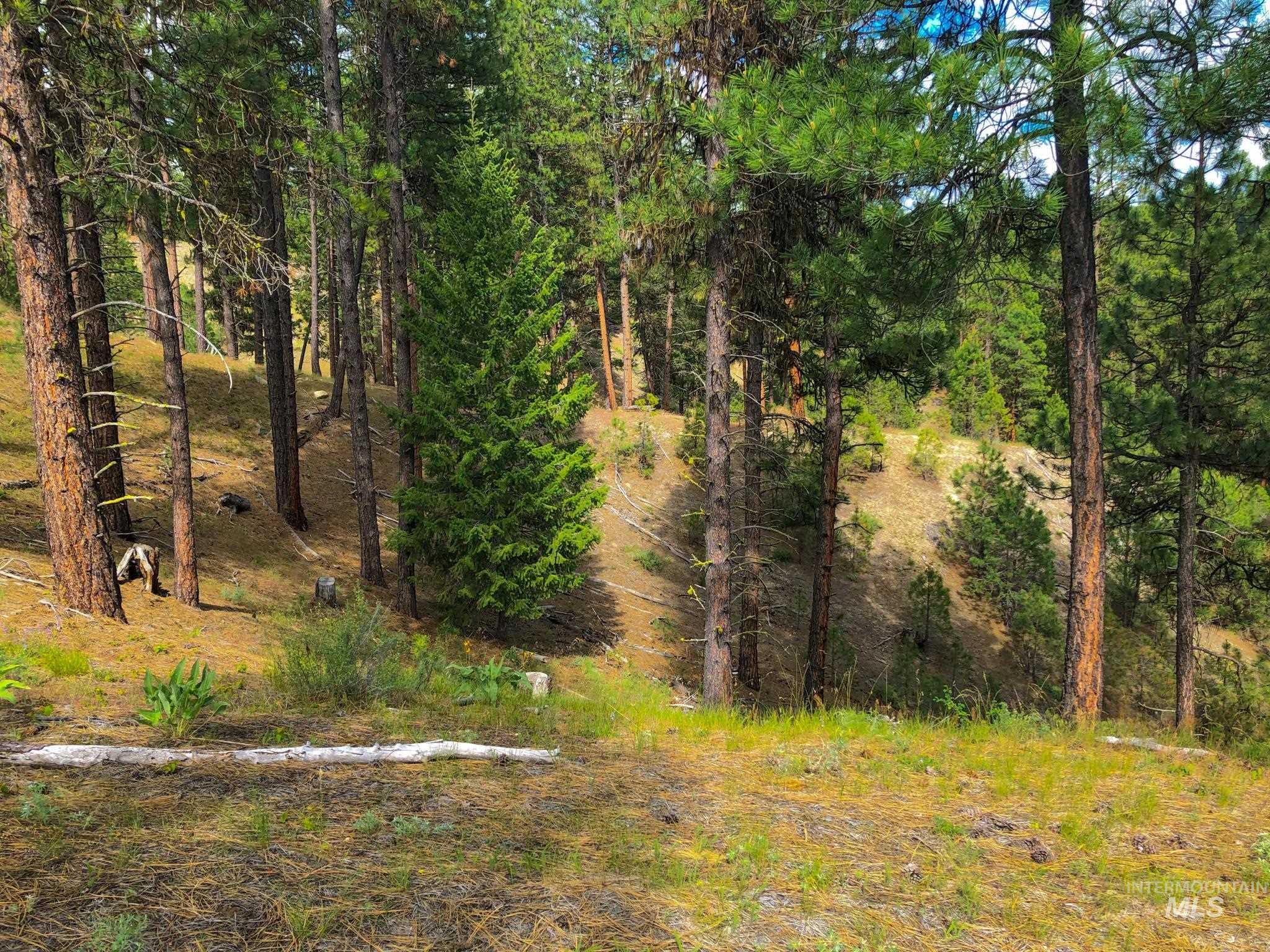 TBD Meadow Creek Drive