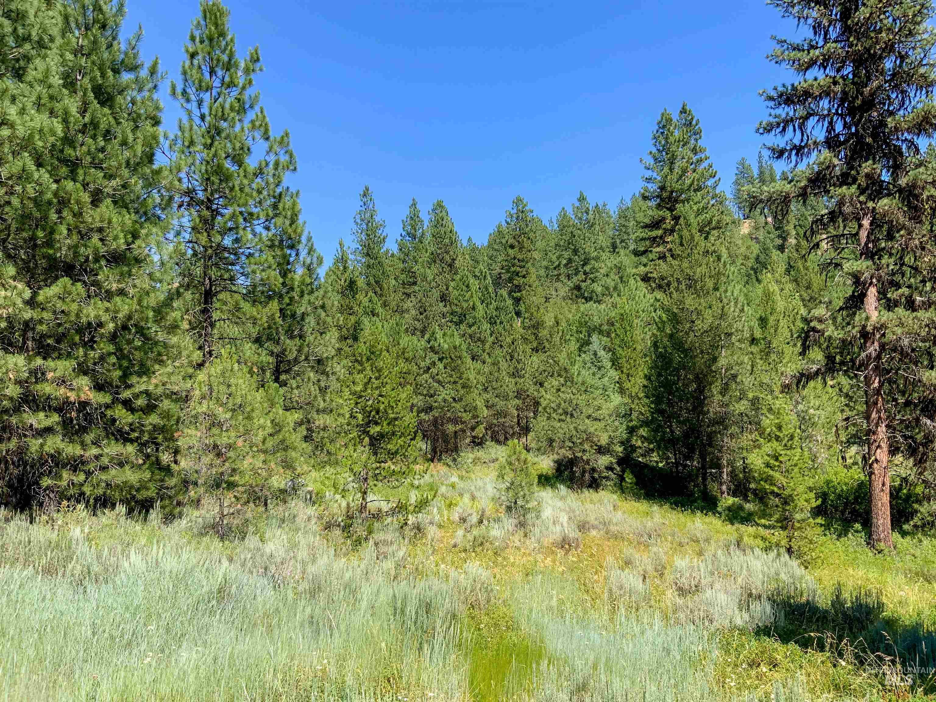 TBD Meadow Creek Drive