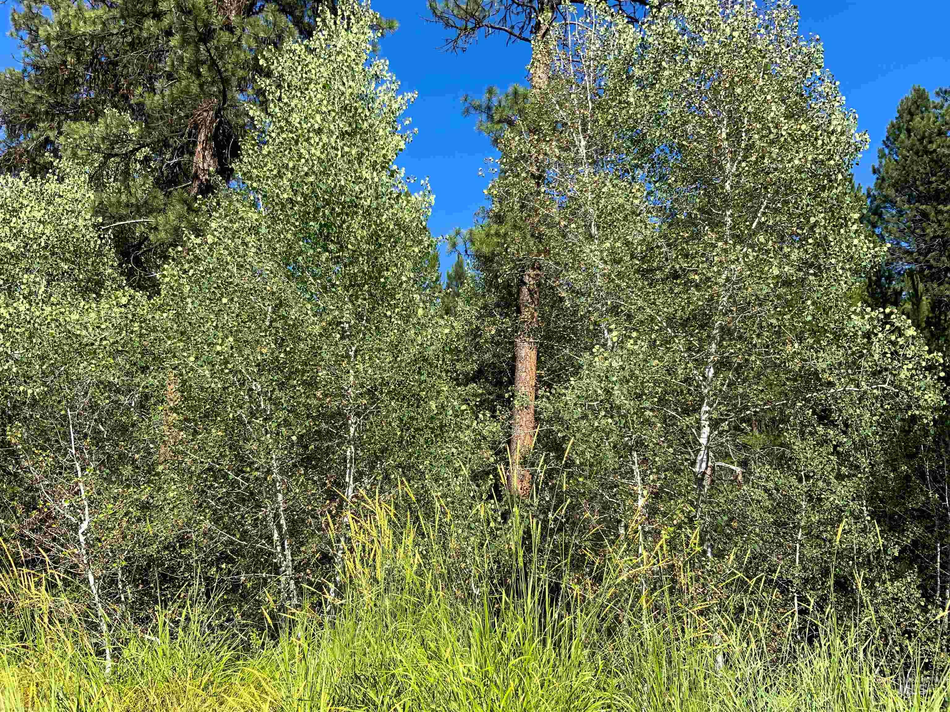 TBD Meadow Creek Drive