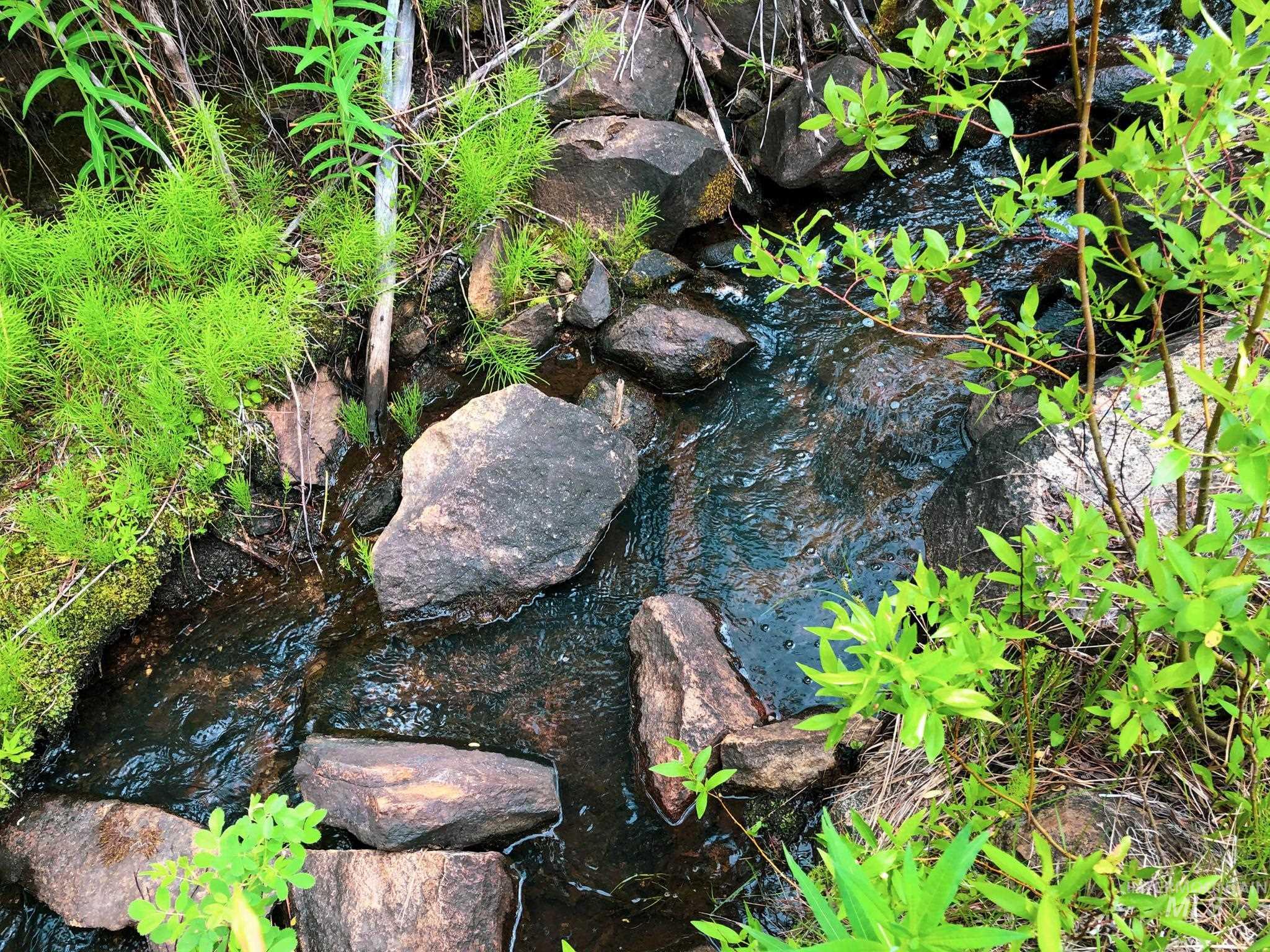 TBD 5 Meadow Creek Drive