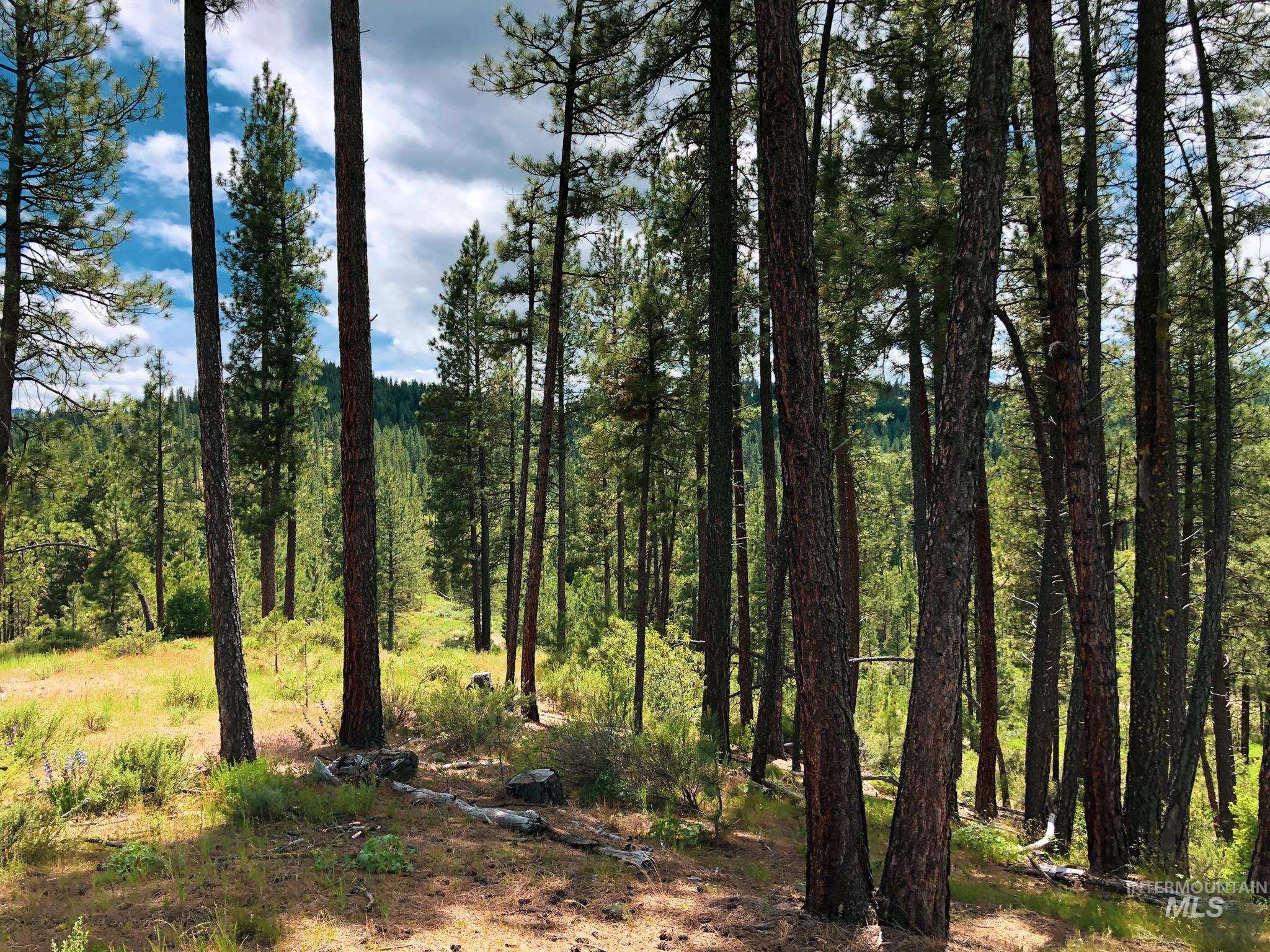 TBD 5 Meadow Creek Drive