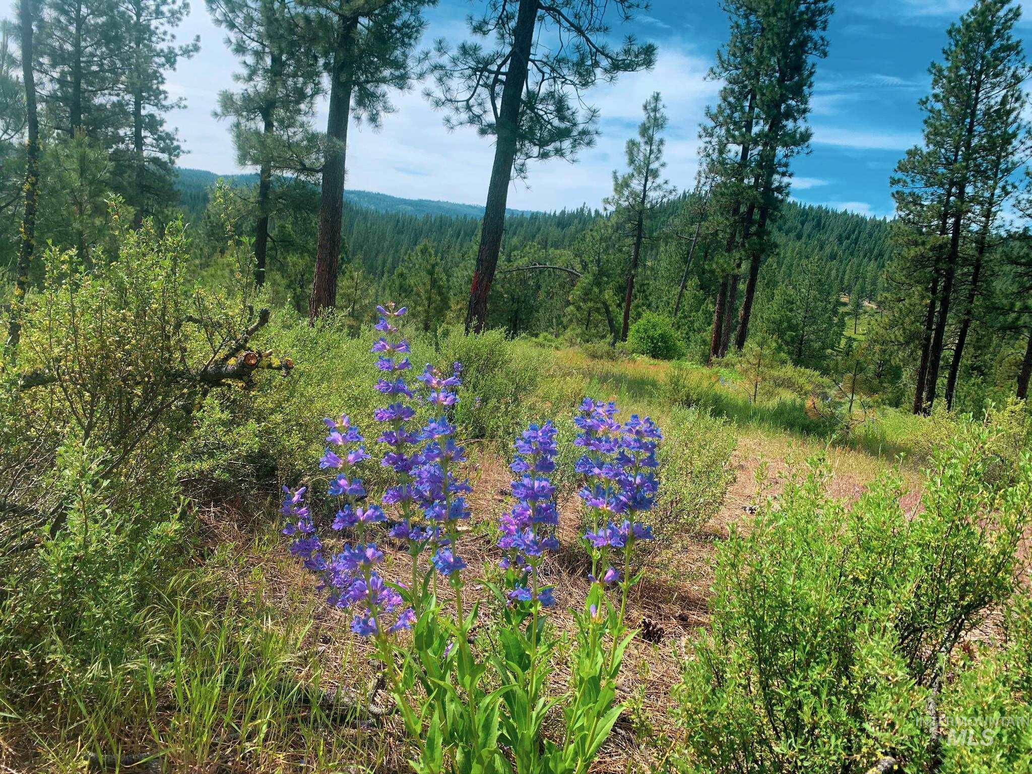 TBD 5 Meadow Creek Drive