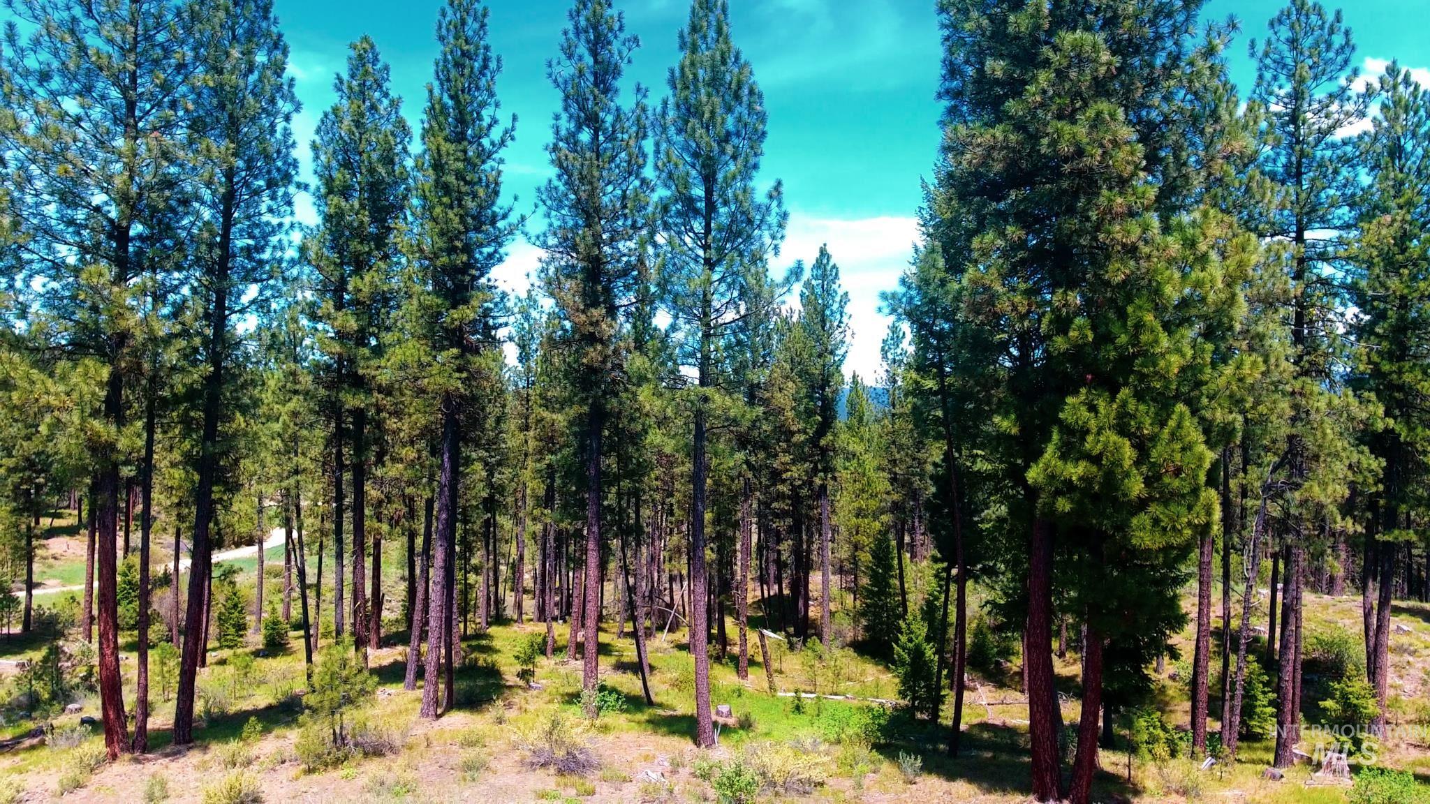 TBD 5 Meadow Creek Drive