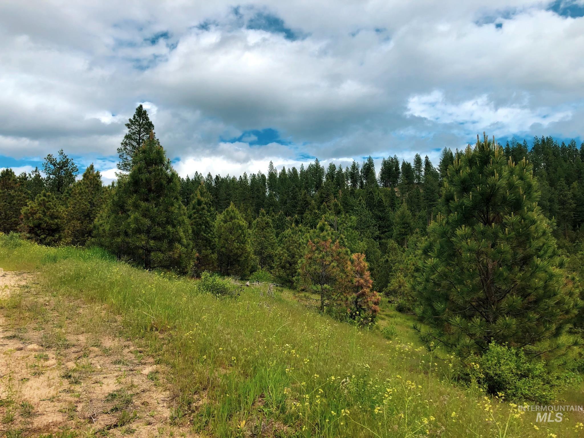 TBD 5 Meadow Creek Drive