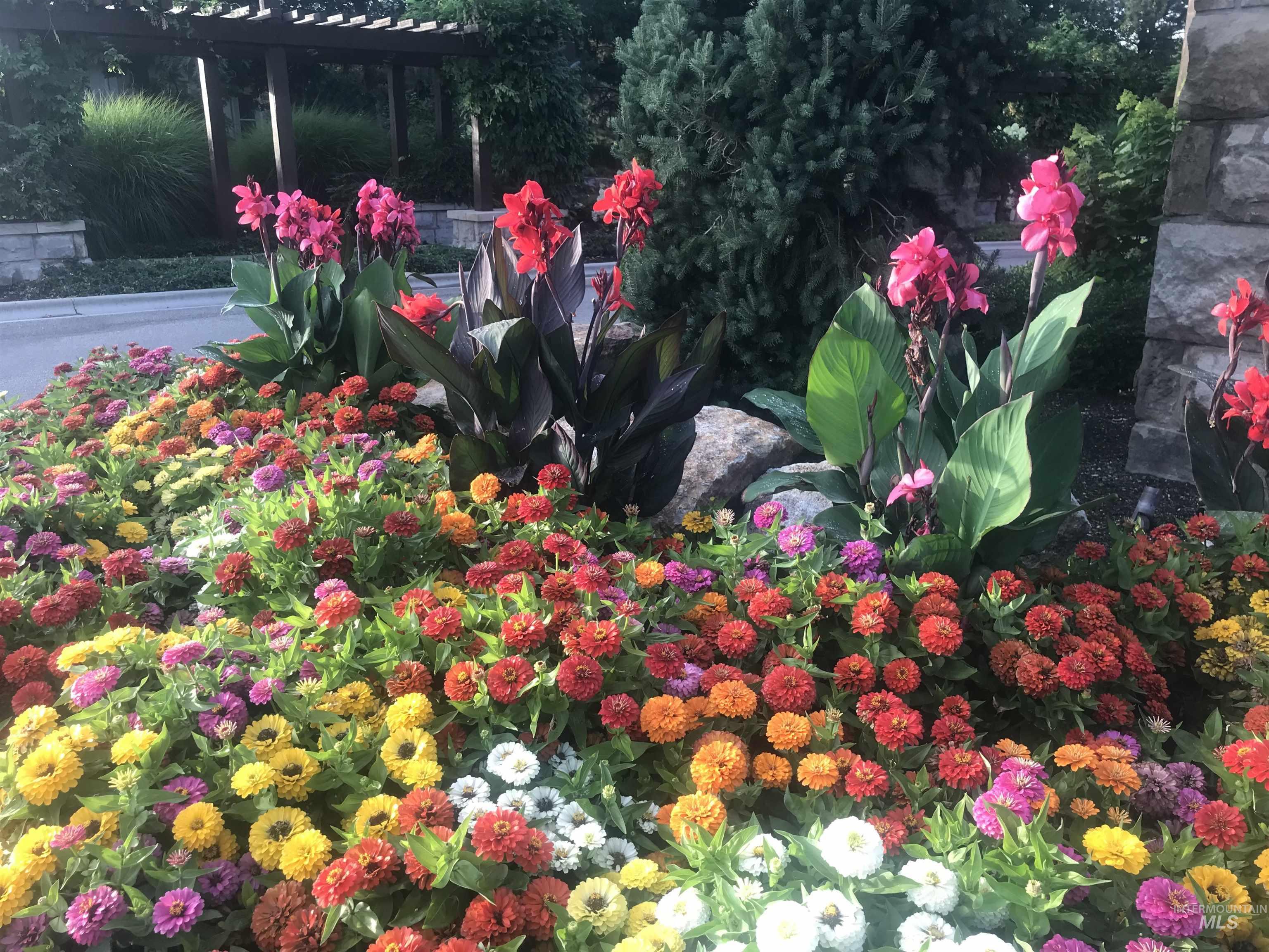 916 W Sherington Drive