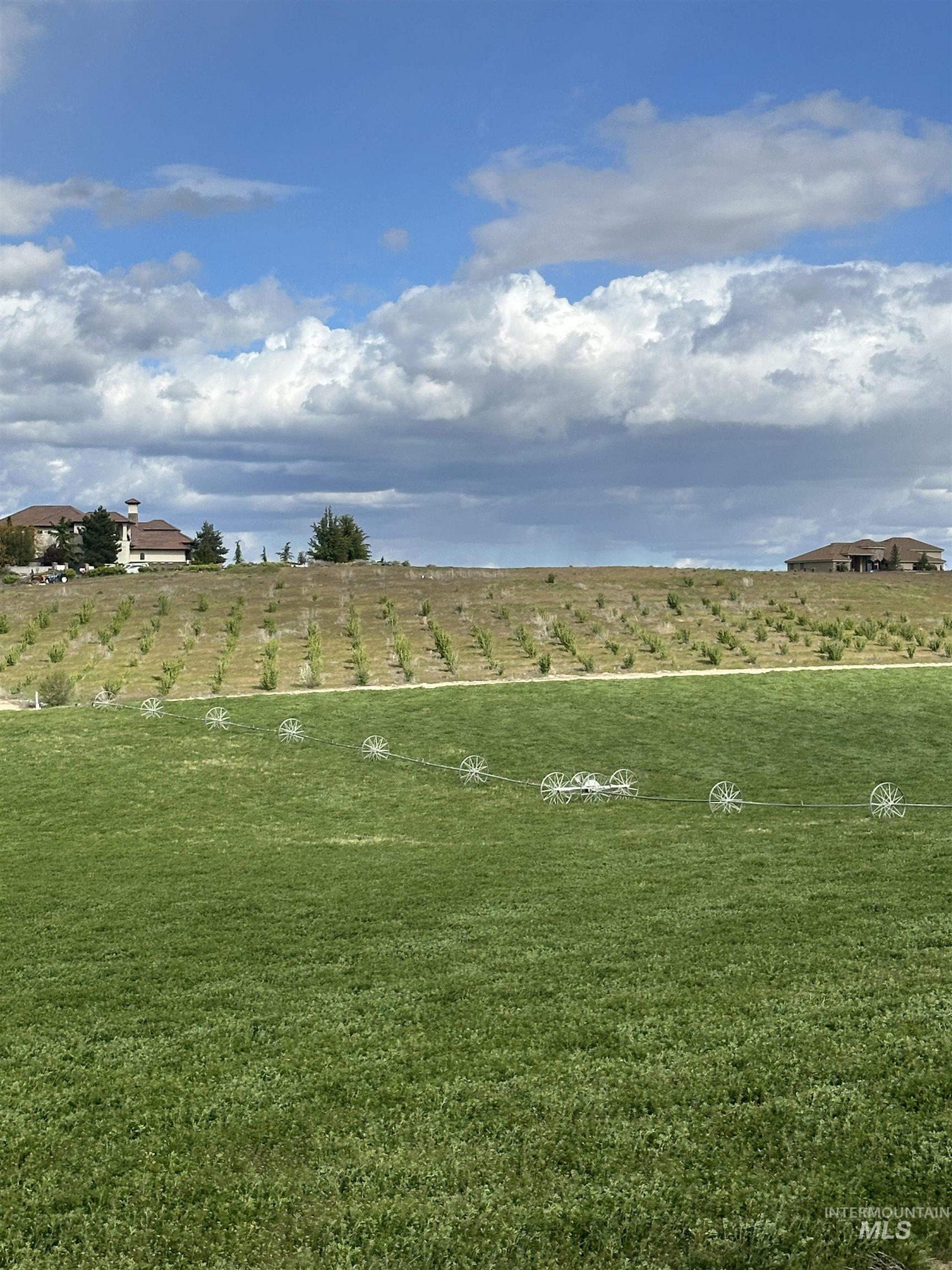 8202 Loma Linda Ridge