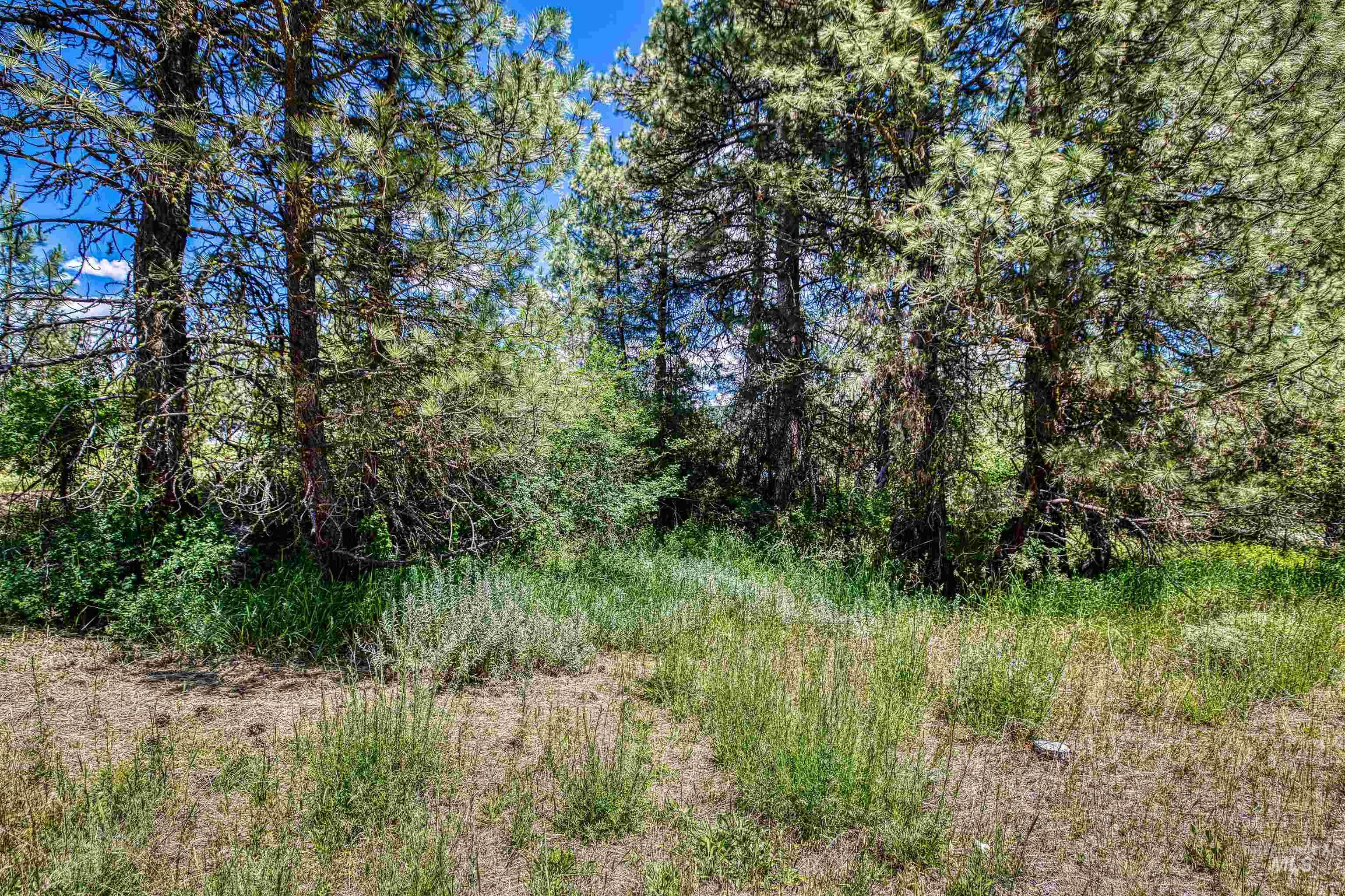 TBD S Middlefork Road