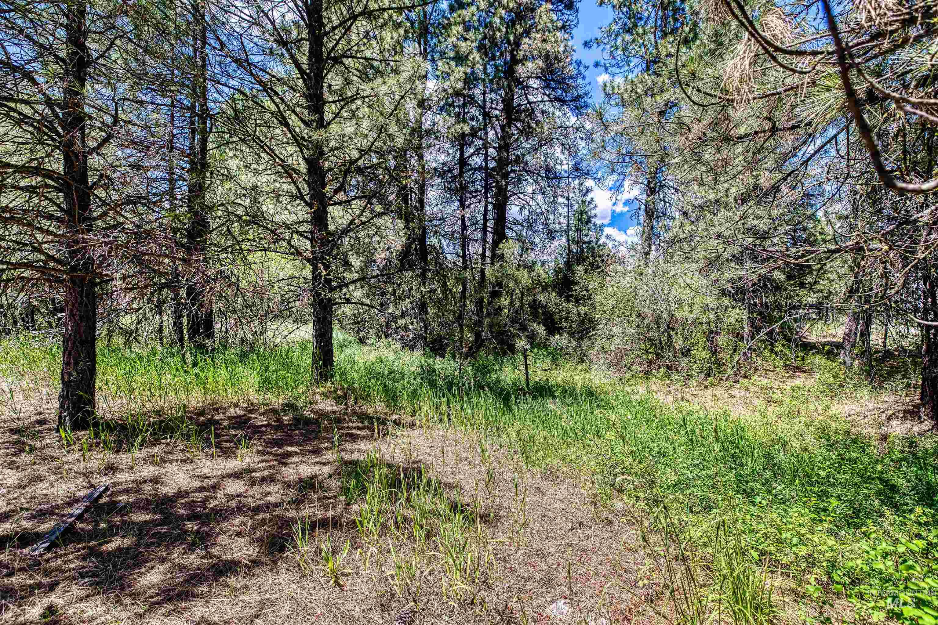 TBD S Middlefork Road