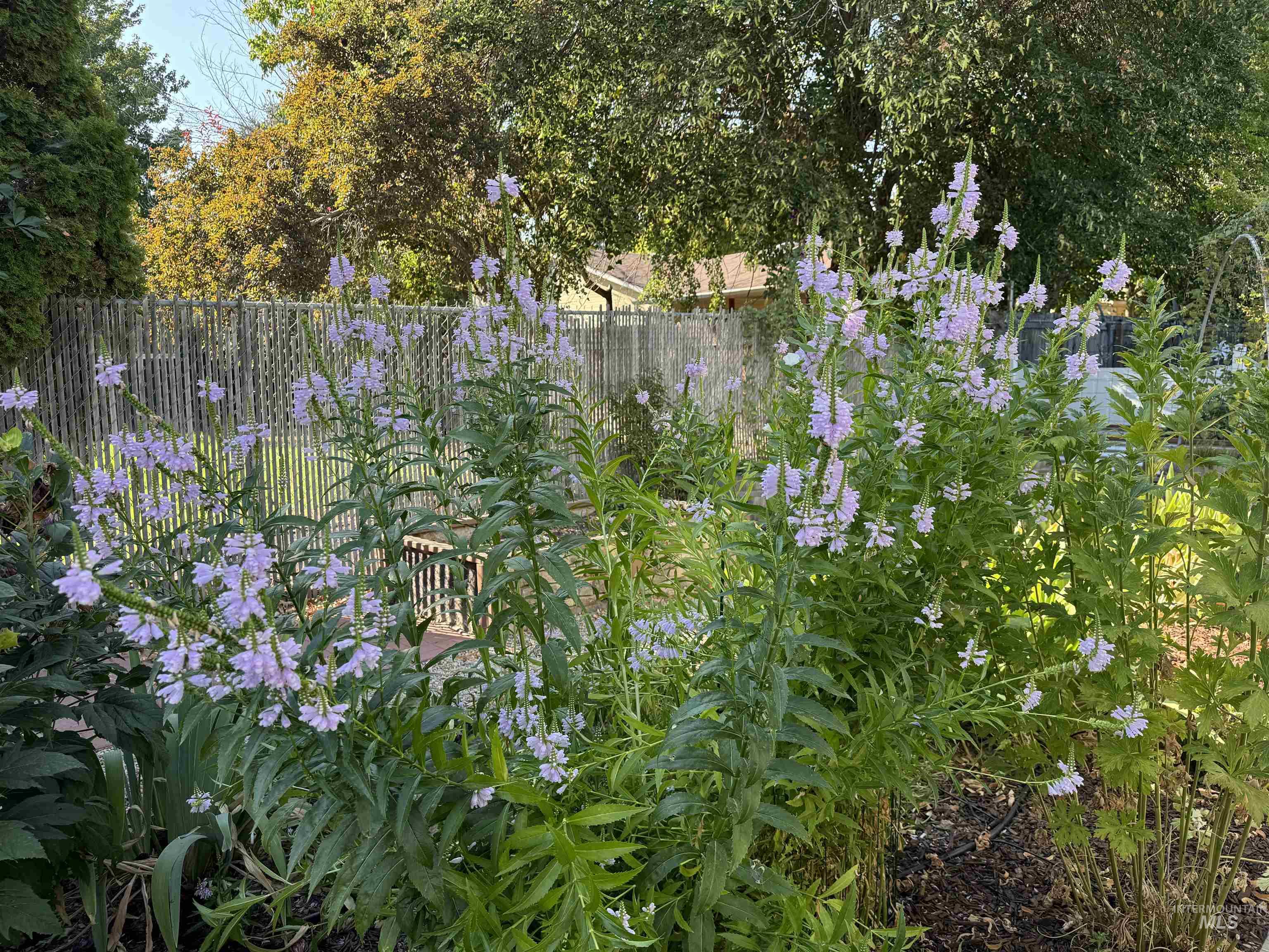 9390 W Ustick Rd Unit: 18