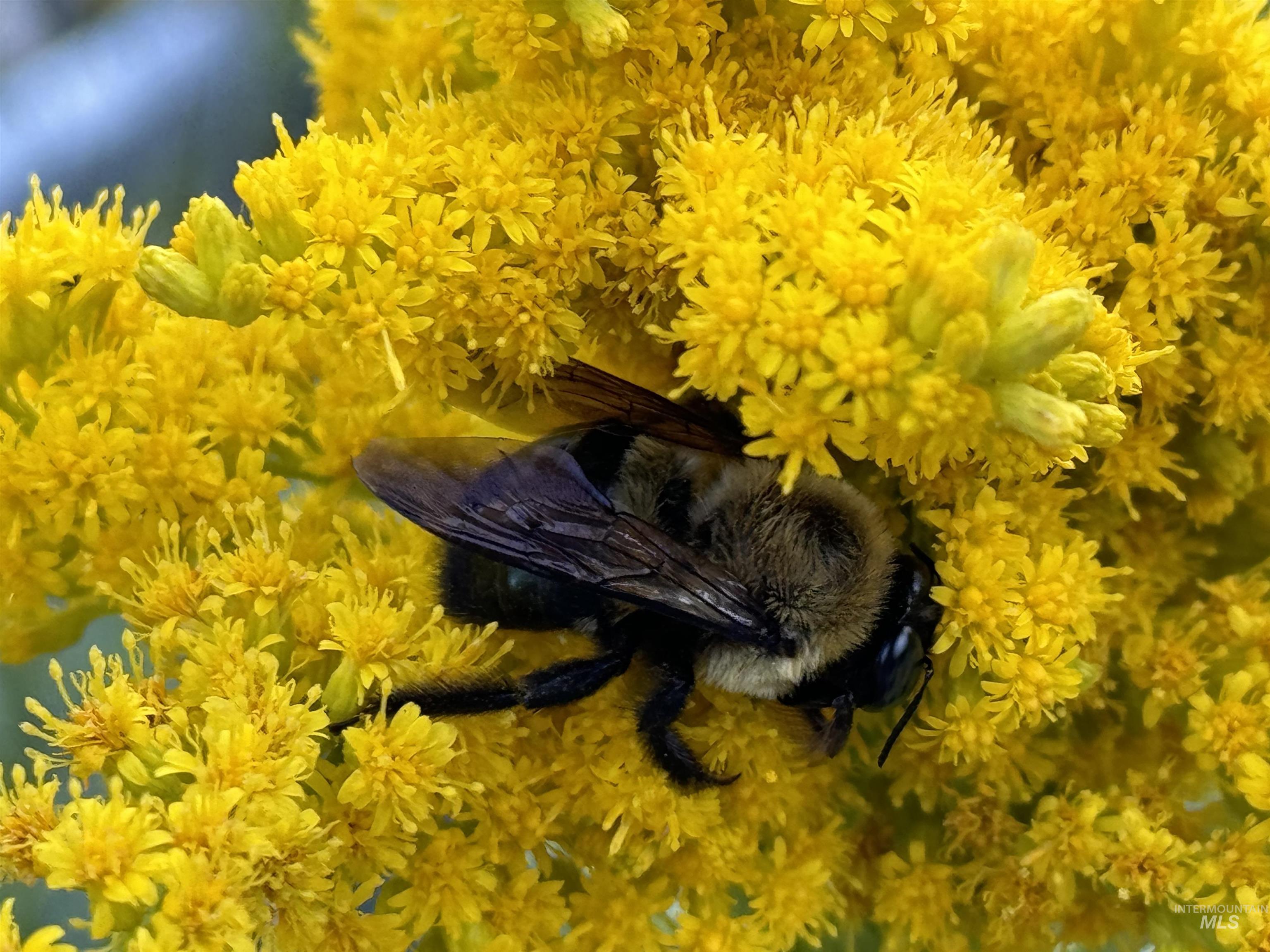 9390 W Ustick Rd Unit: 18