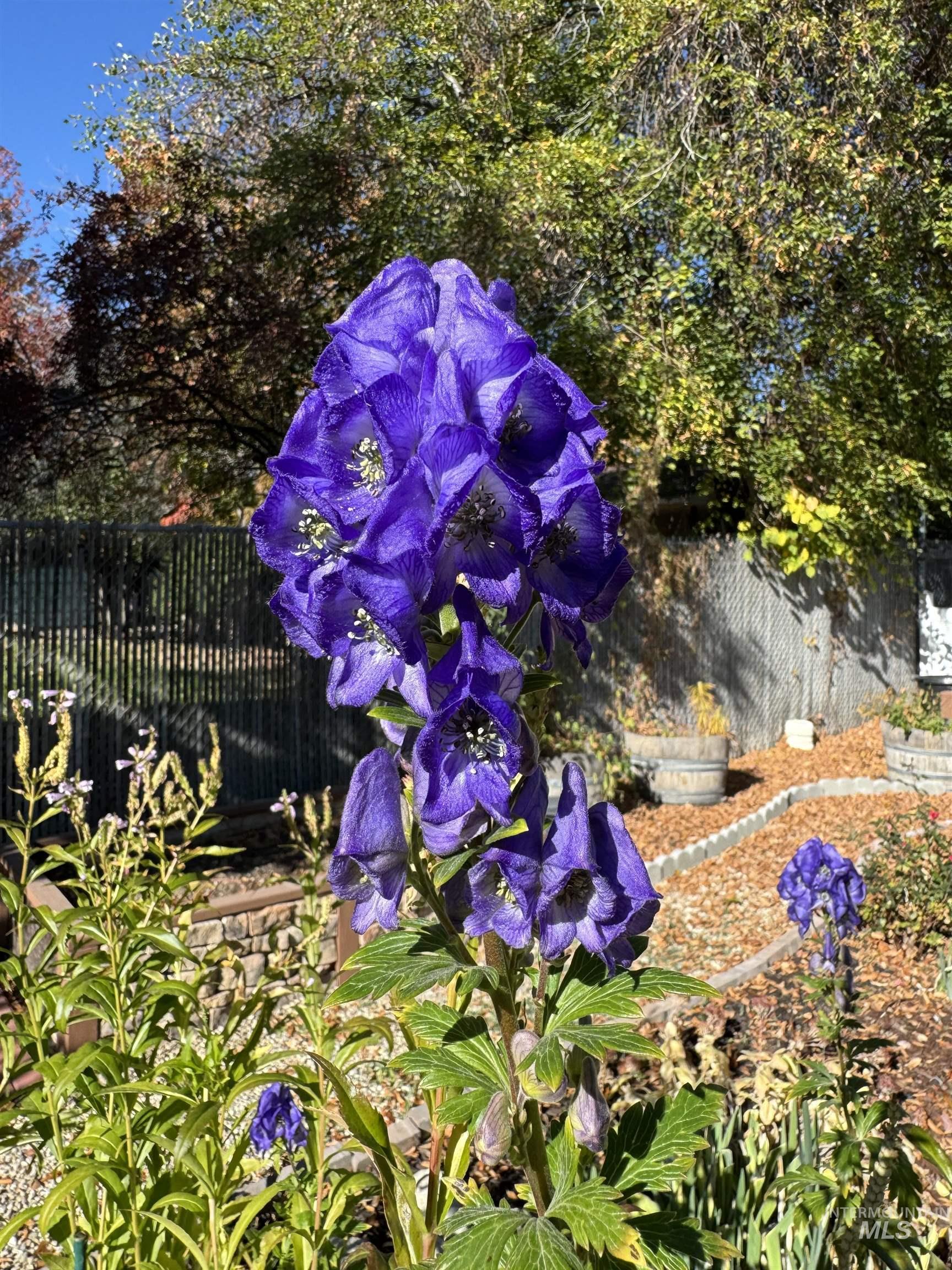 9390 W Ustick Rd Unit: 18