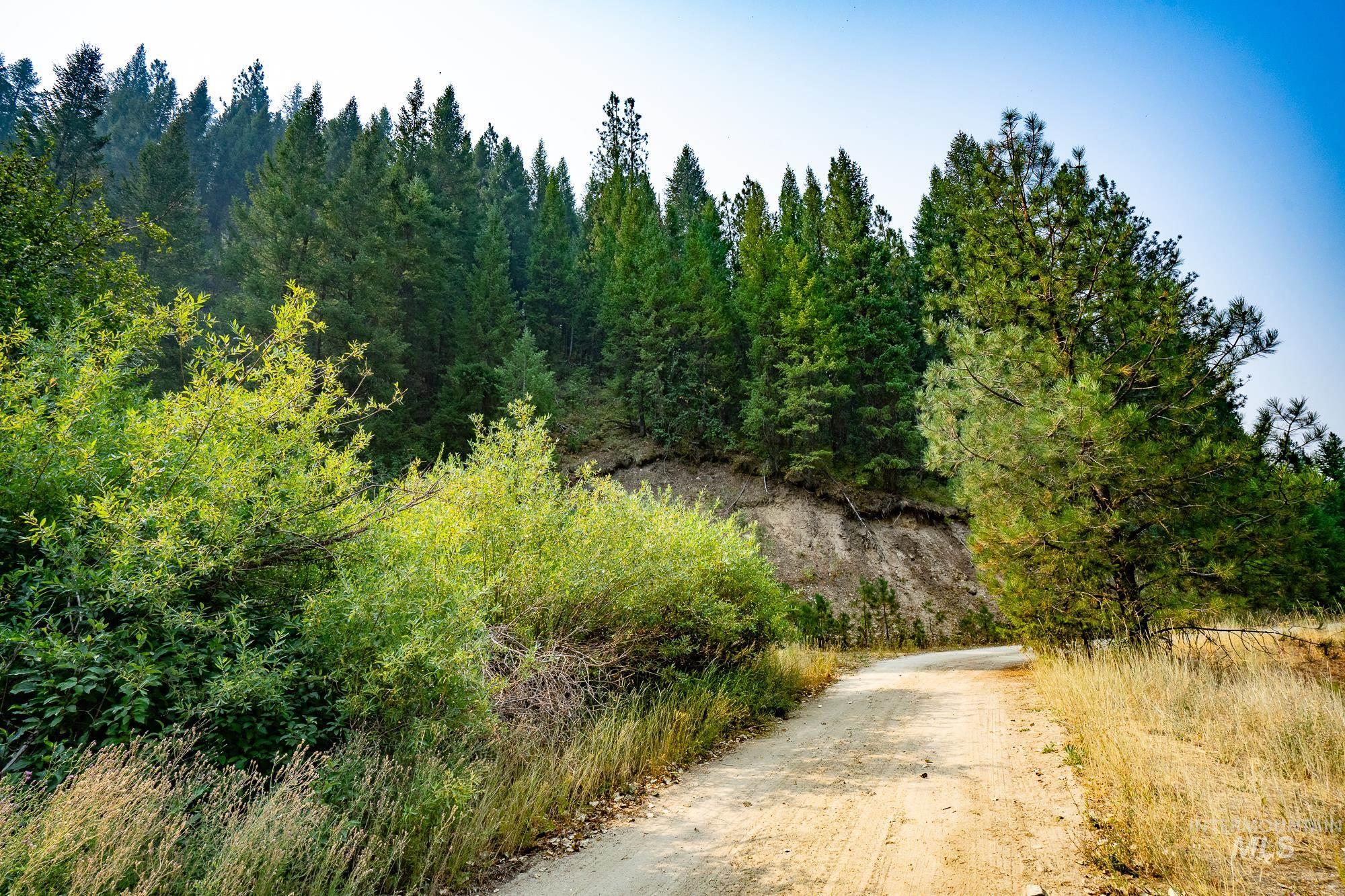TBD Forestland